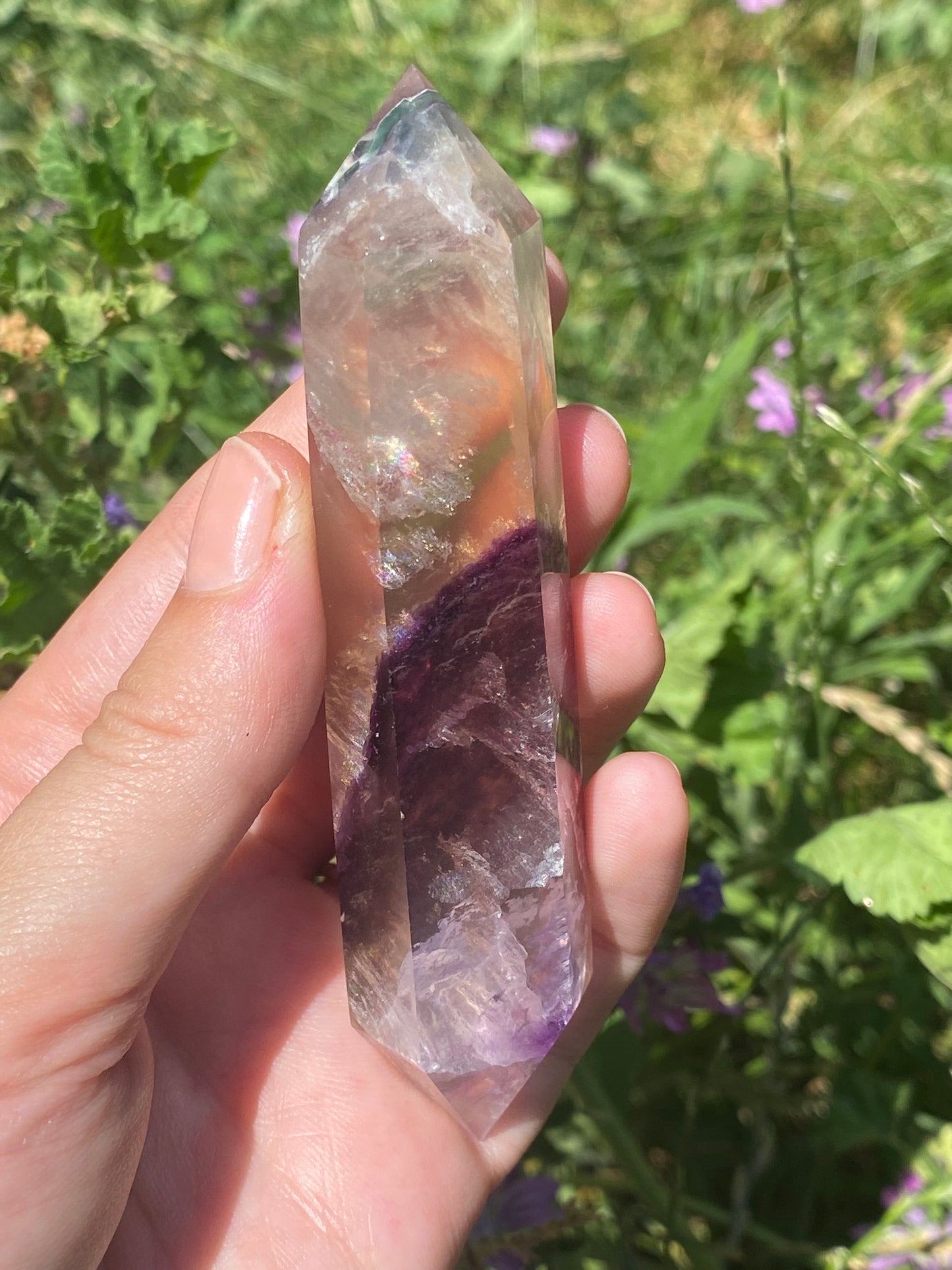 Biterminata in fluorite A