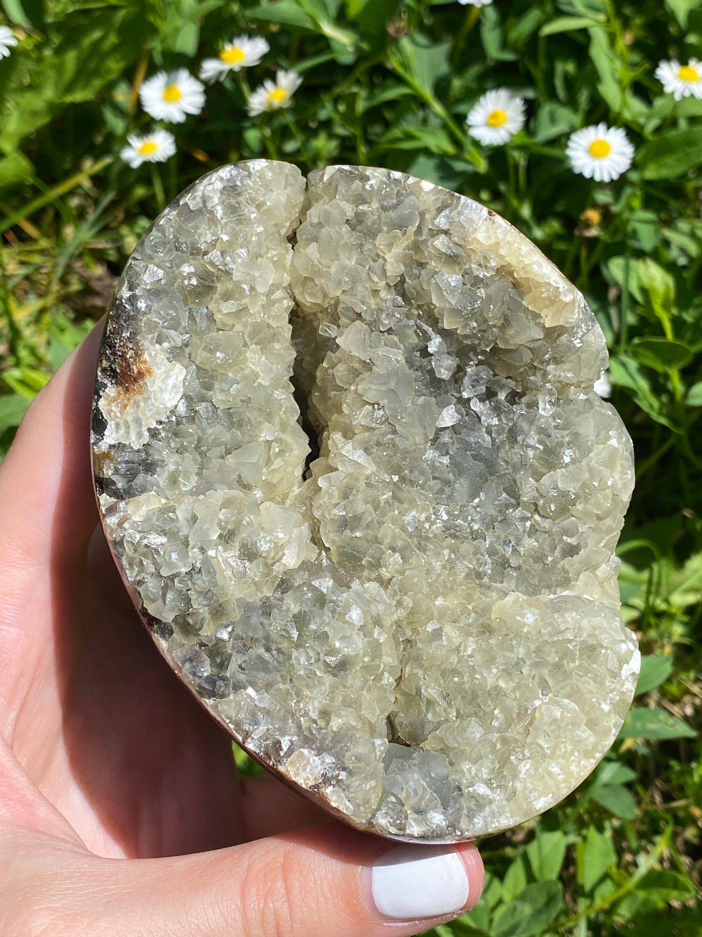 Uovo septaria con drusa in calcite