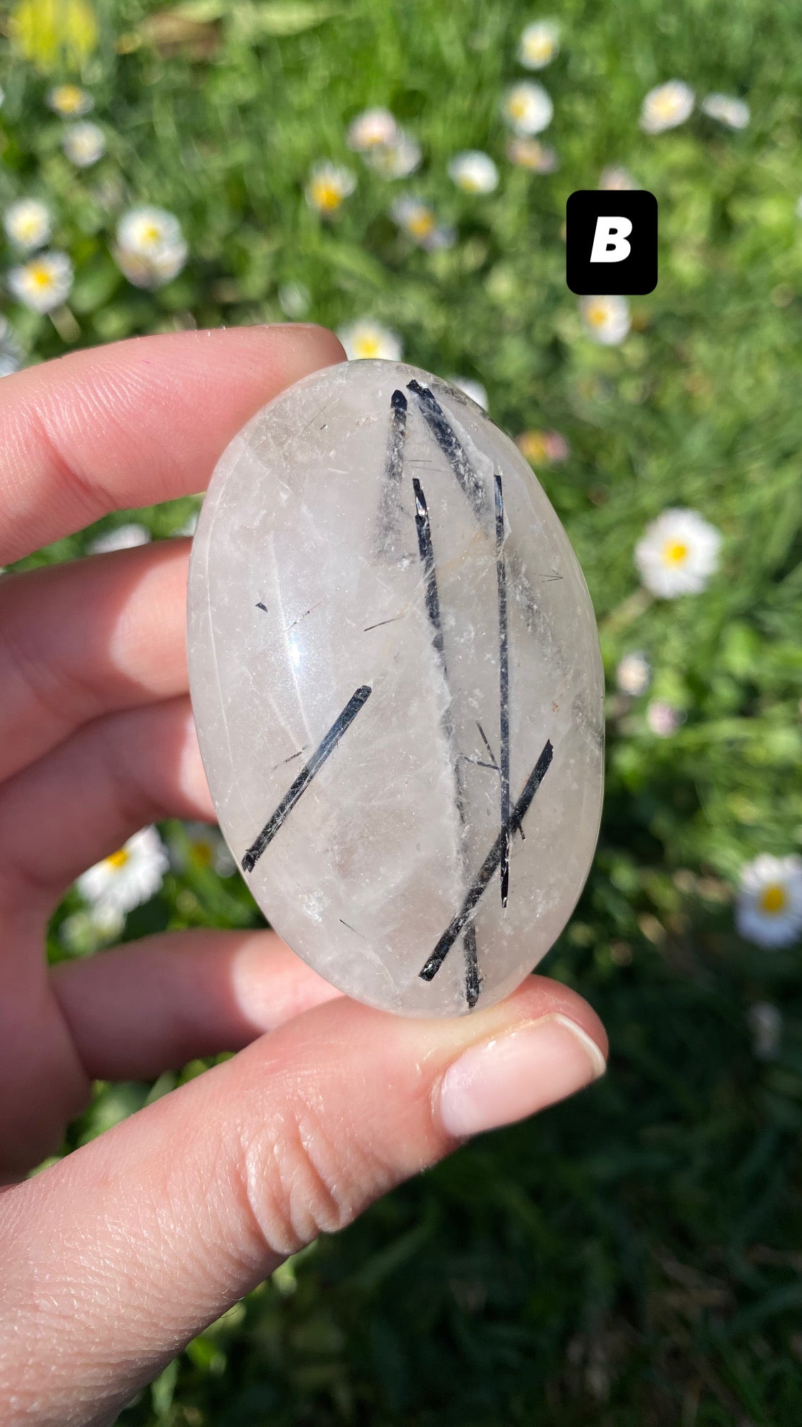 Palmstone quarzo tormalinato