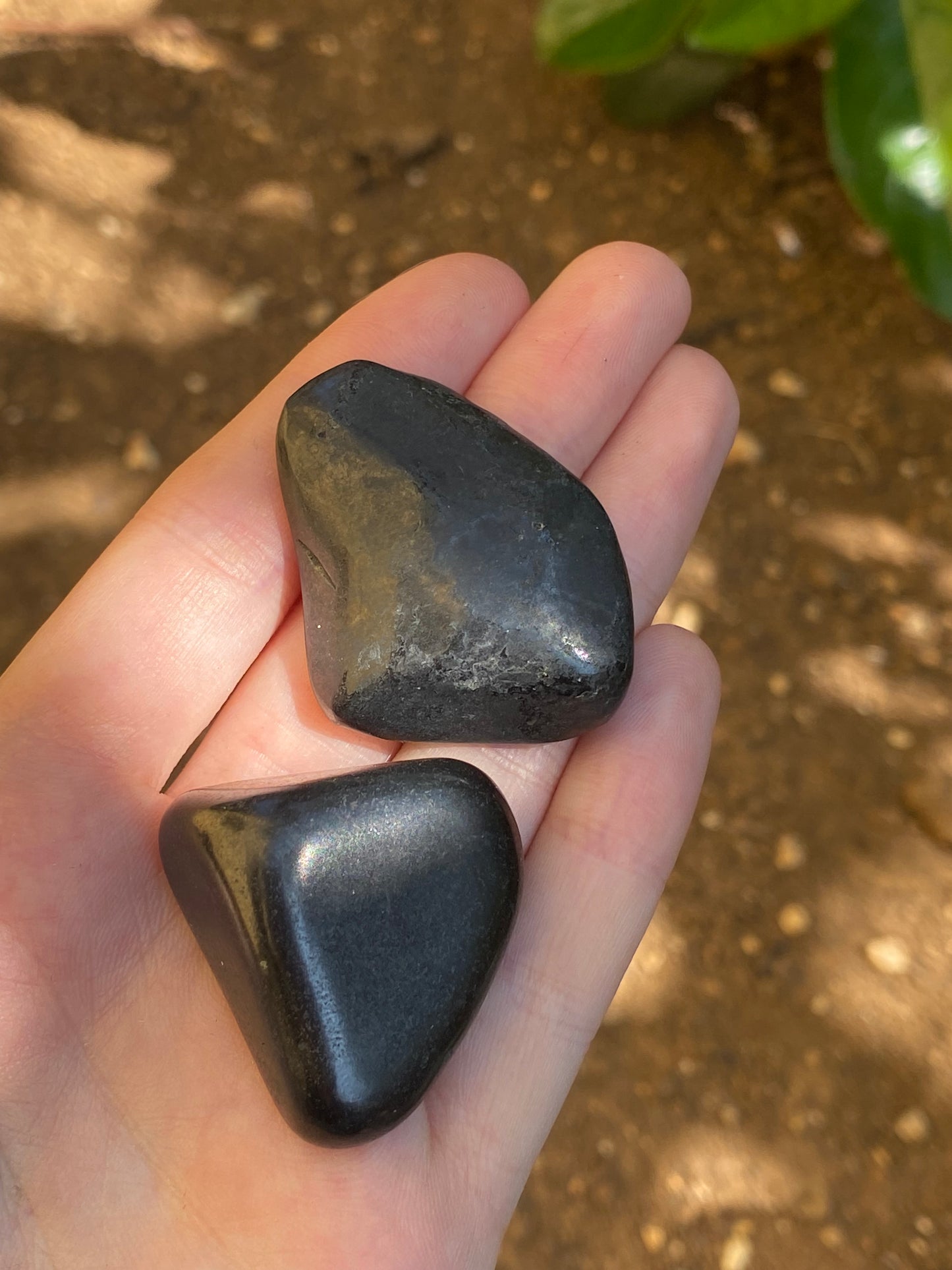 Shungite burattata