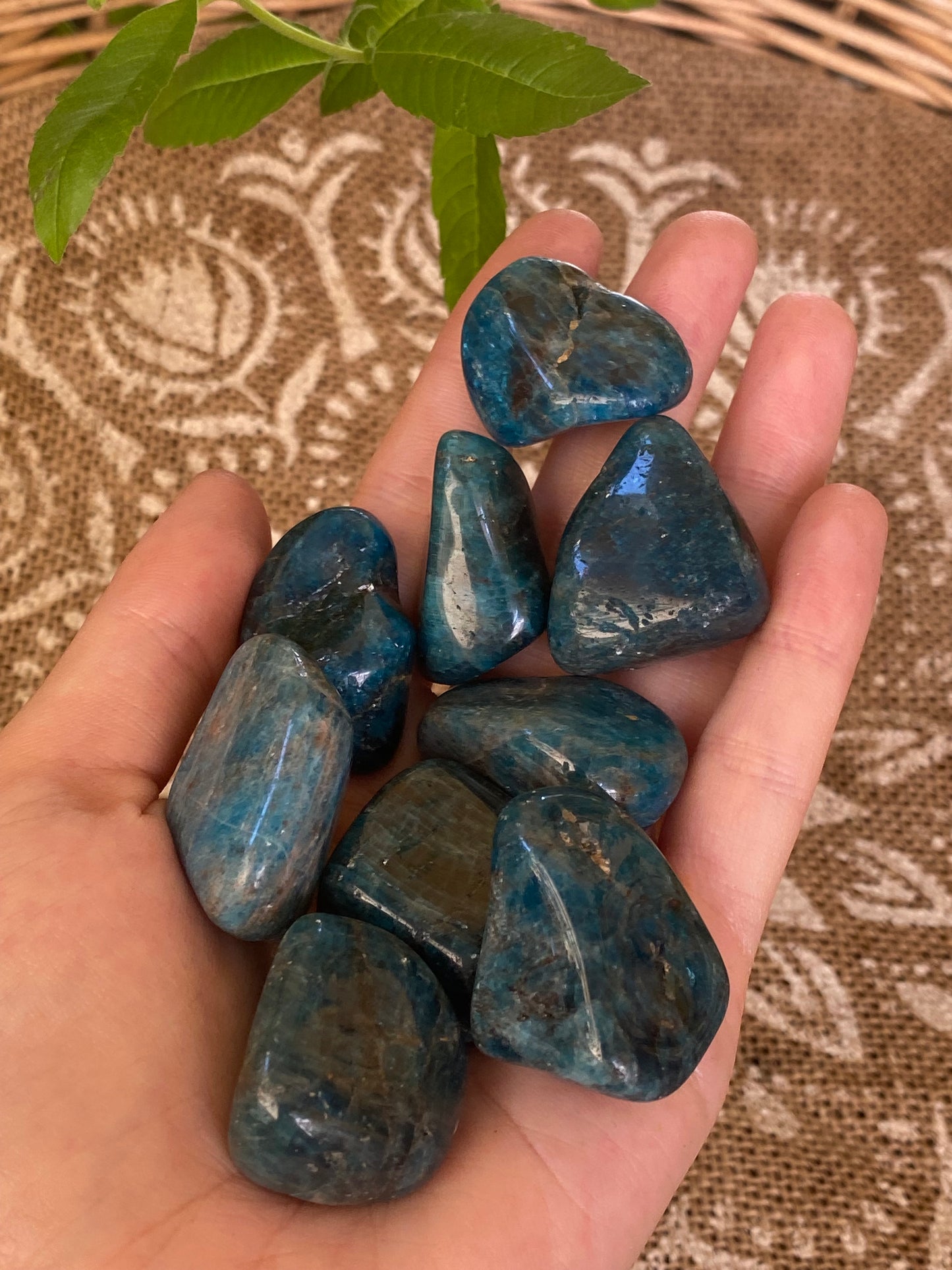 Apatite burattata