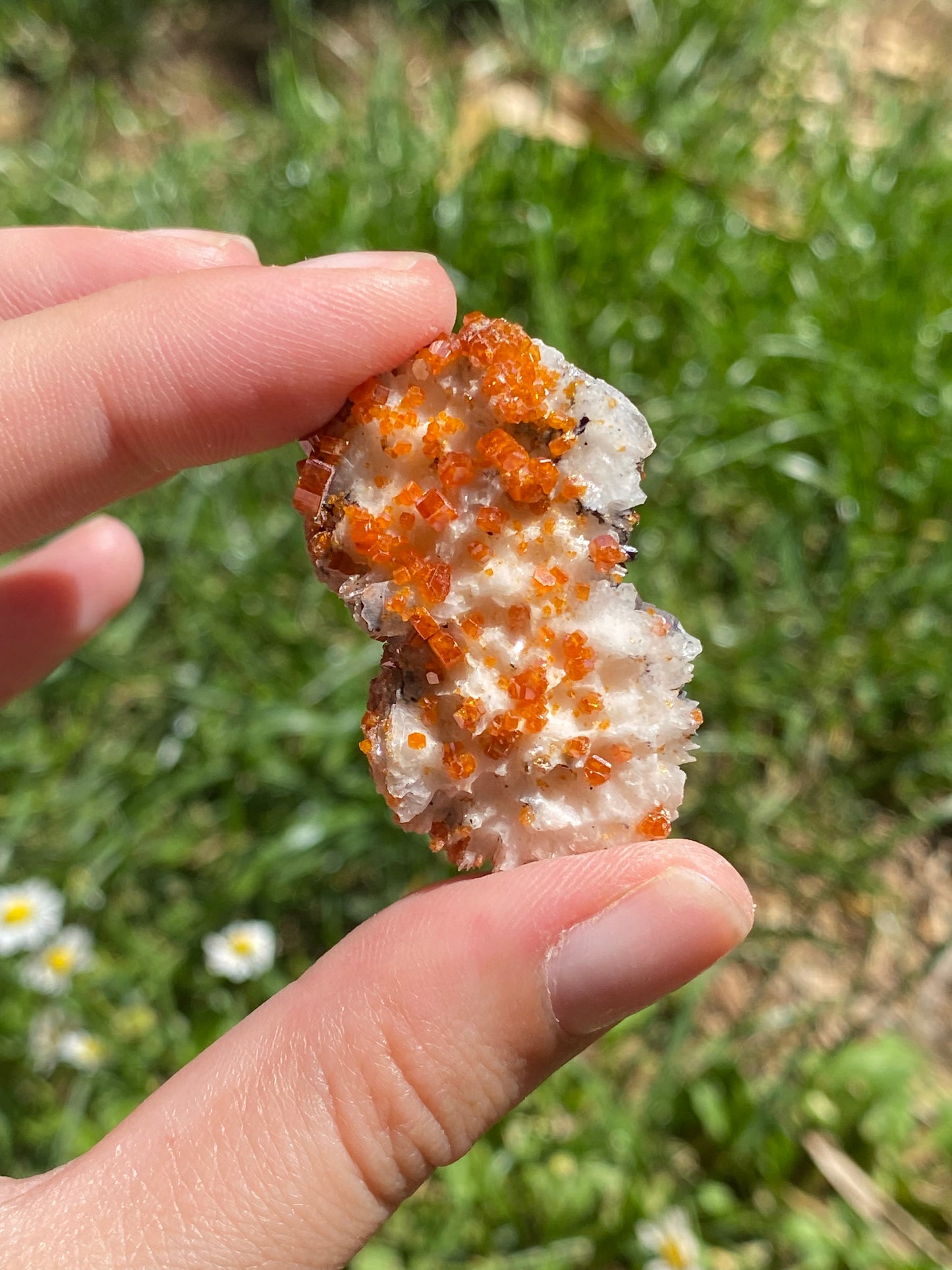 Vanadinite B