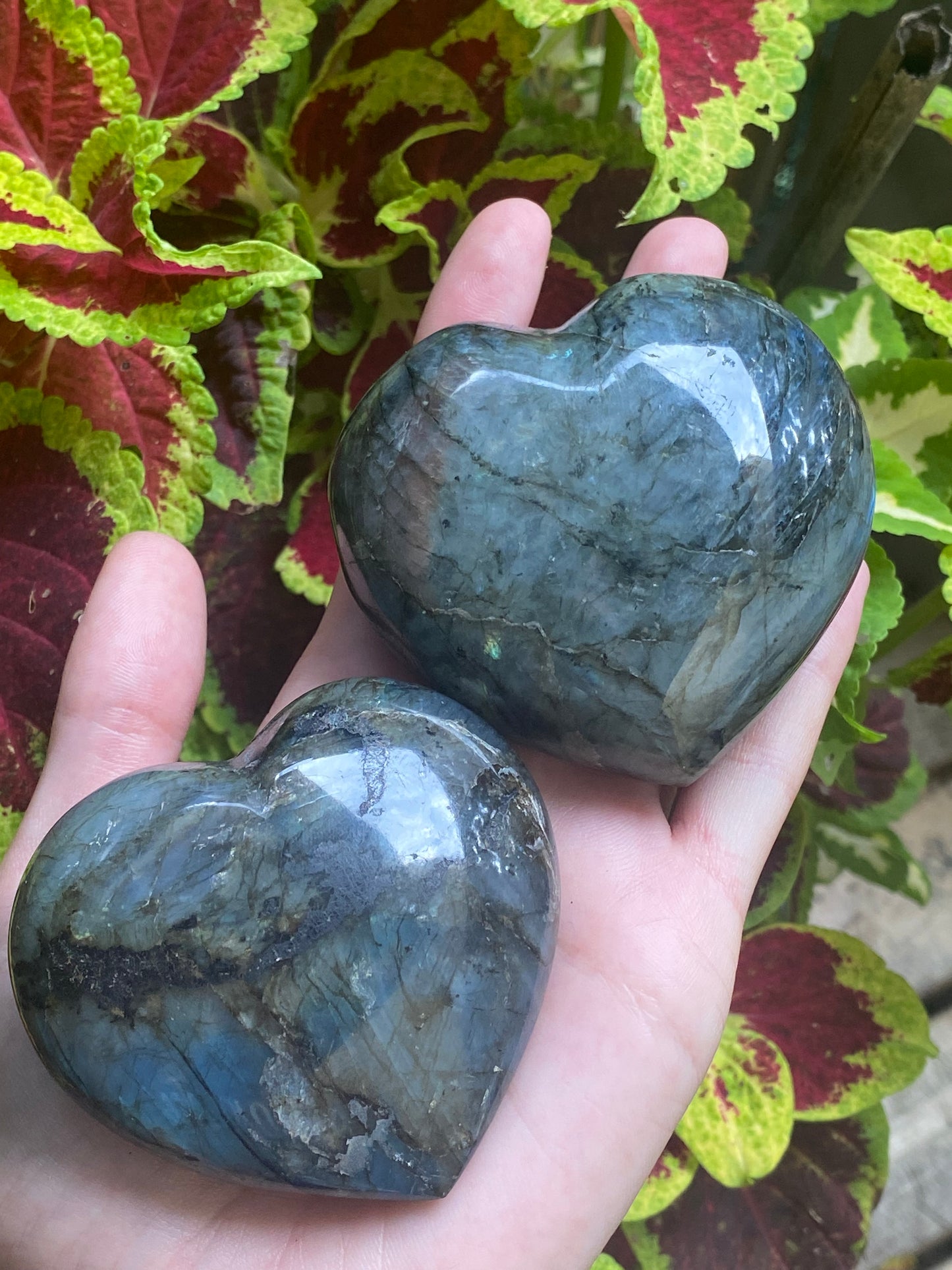 Cuore in labradorite