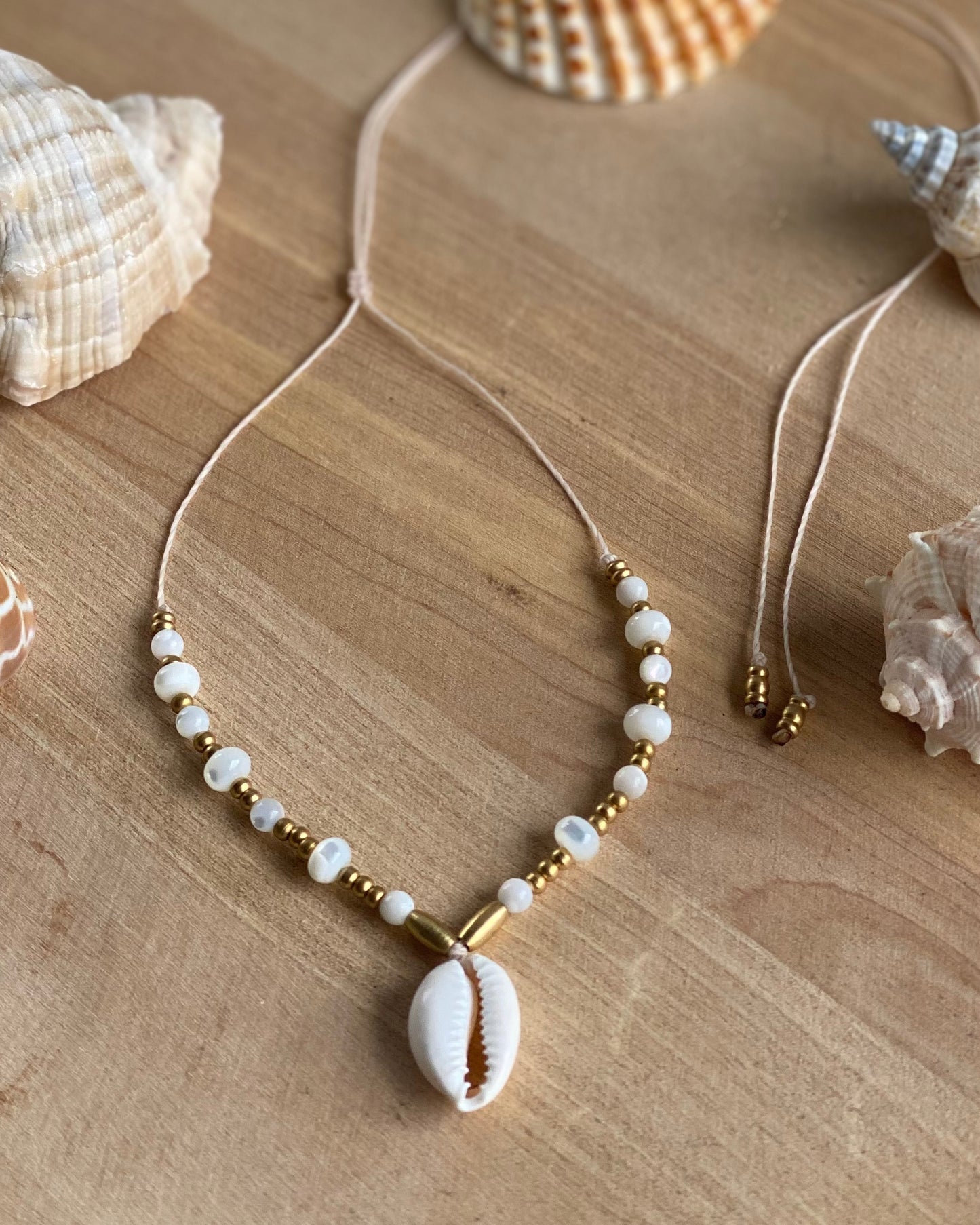 Collana Shell🐚