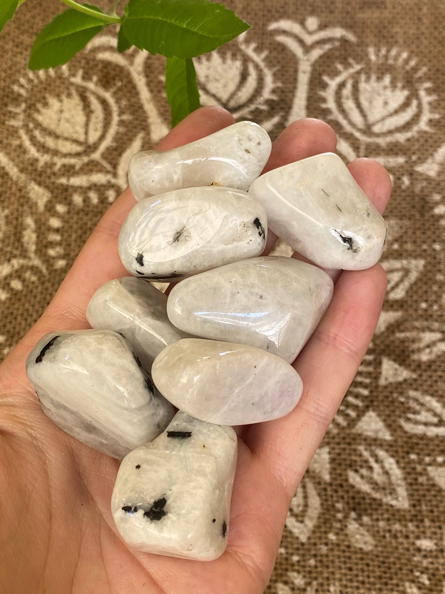 Labradorite bianca burattata