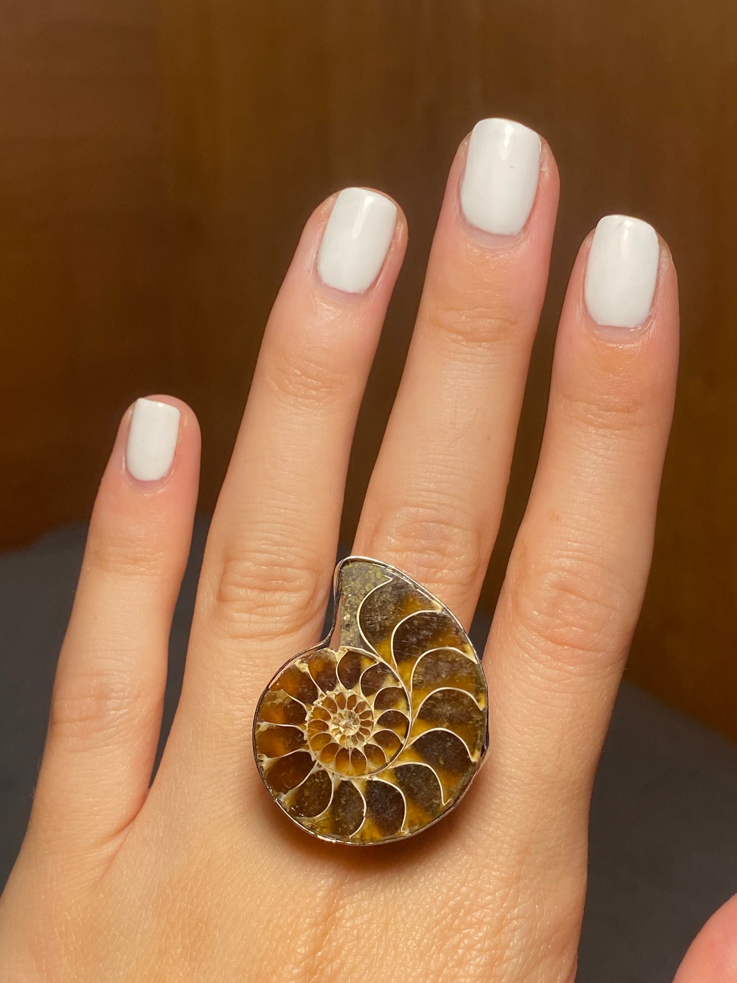 Anello AMMONITE FOSSILE