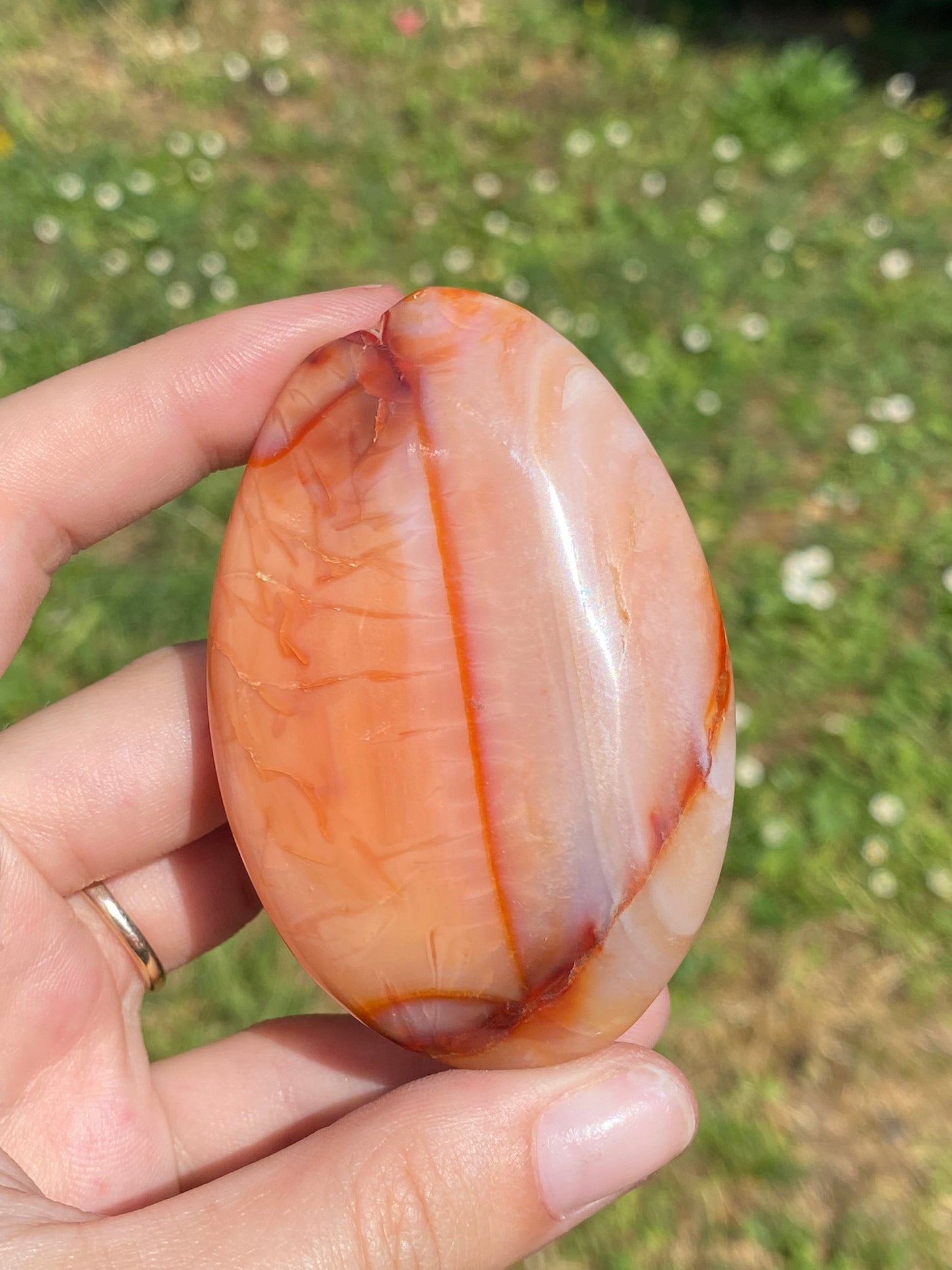 Palmstone in agata Corniola