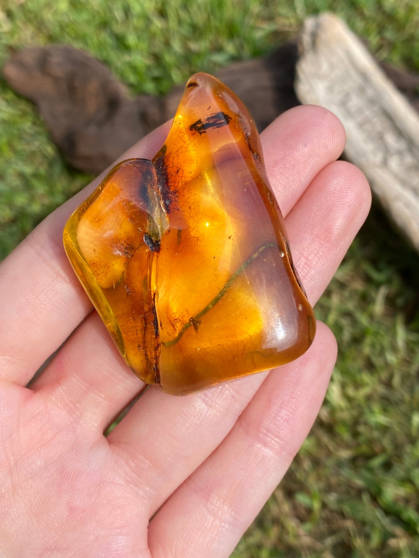 Ambra baltica 14 e 15gr (insetti)
