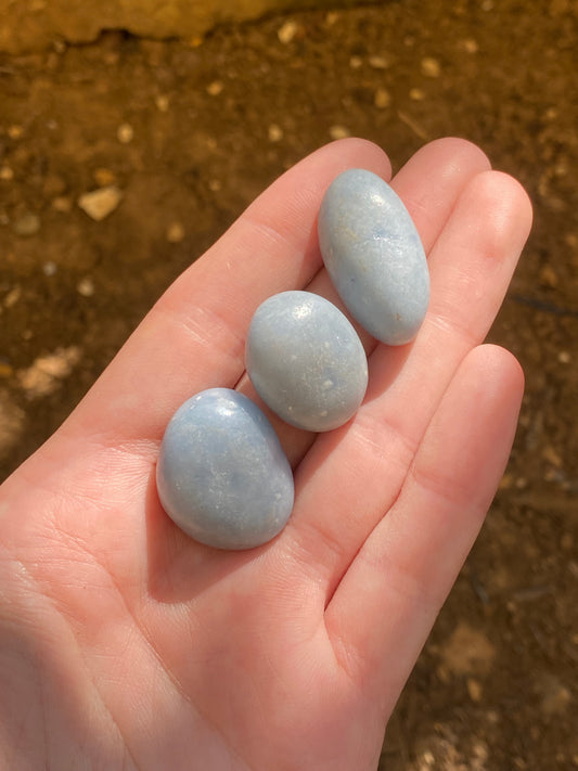 Angelite burattata