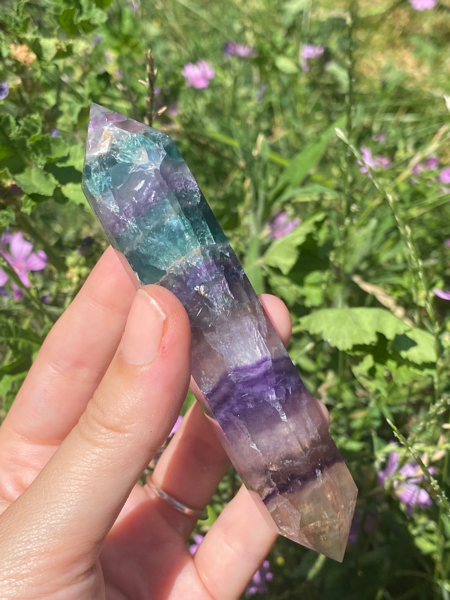 Biterminata in fluorite B