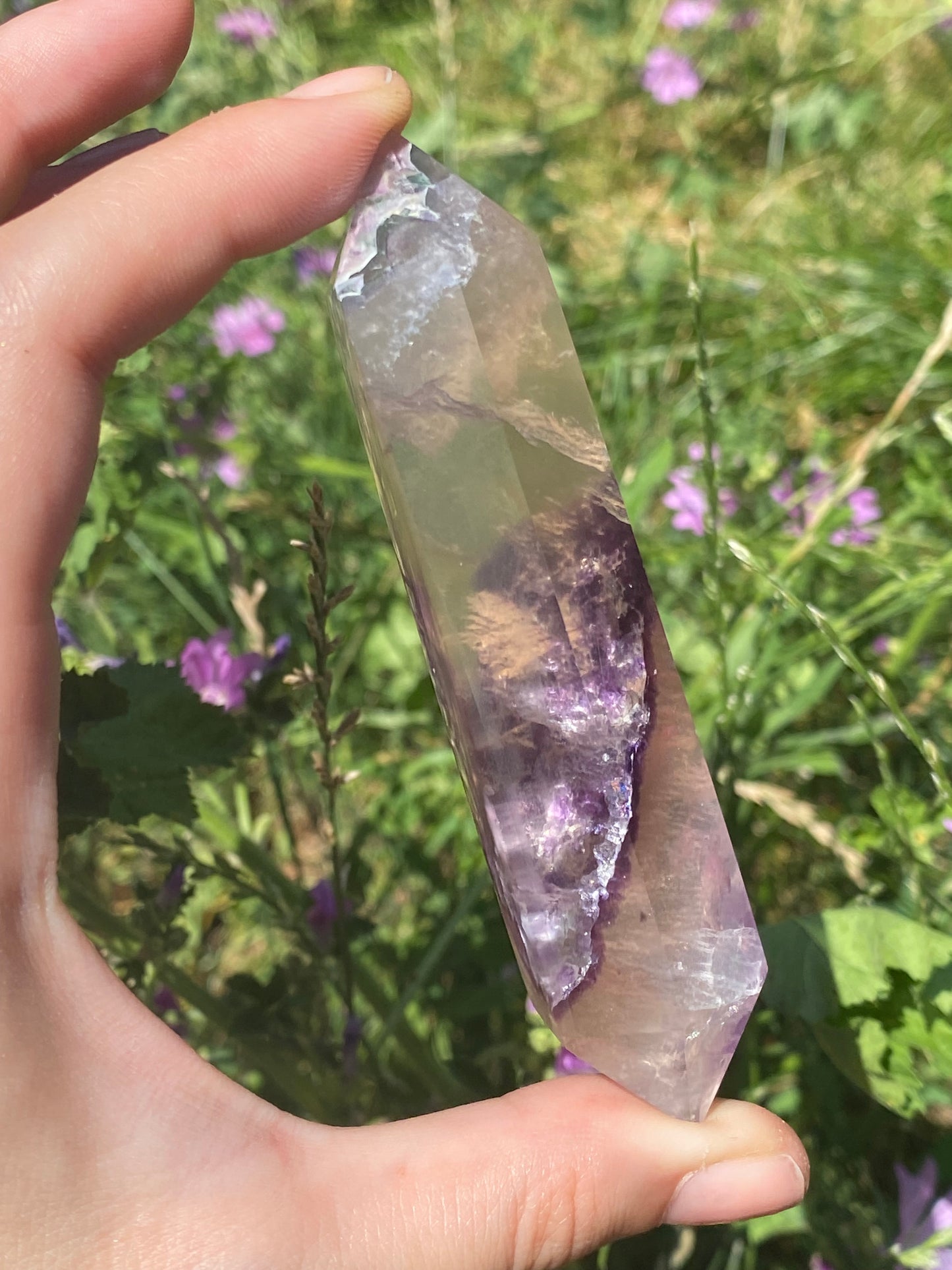 Biterminata in fluorite A