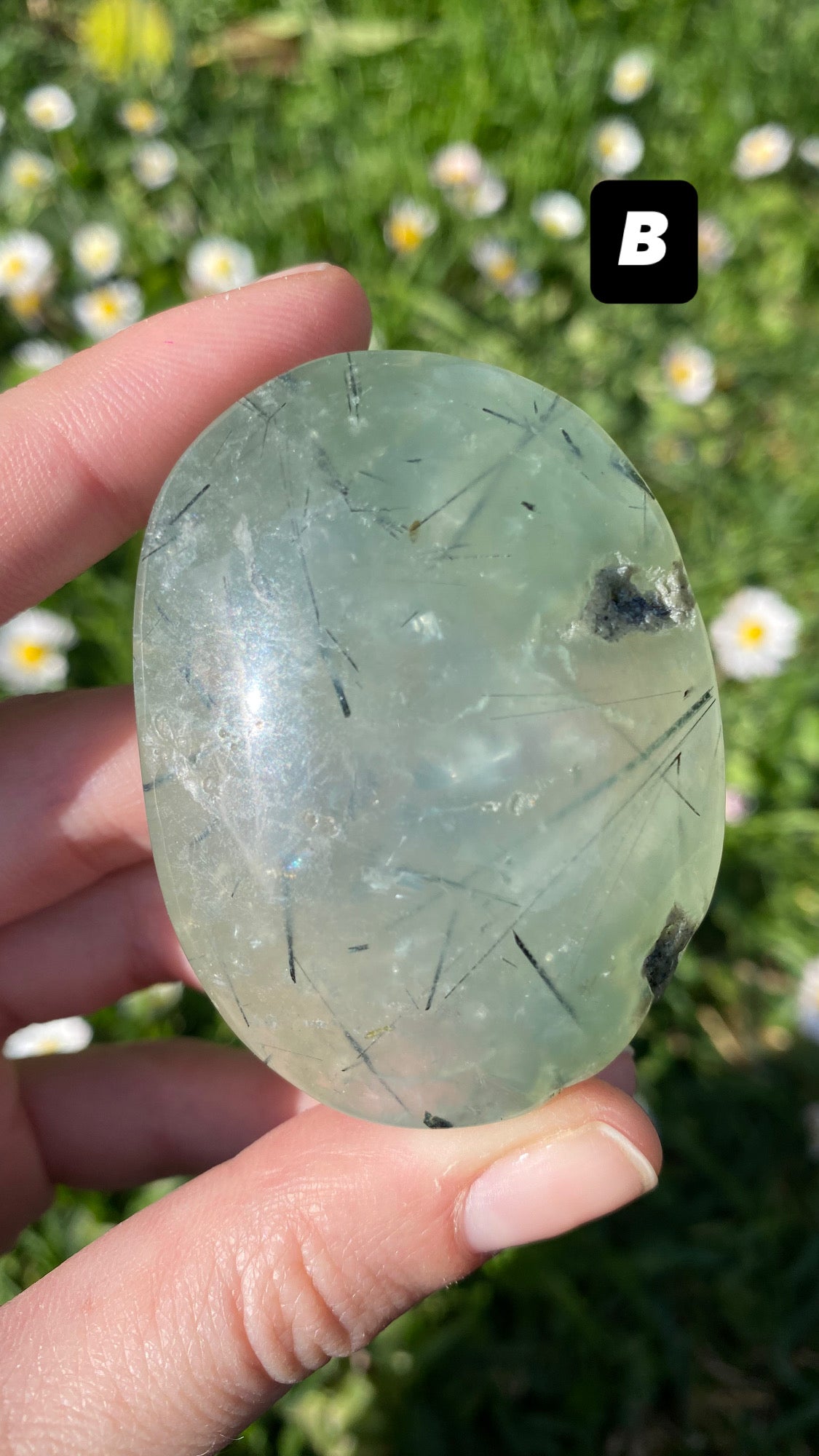 Palmstone prehnite