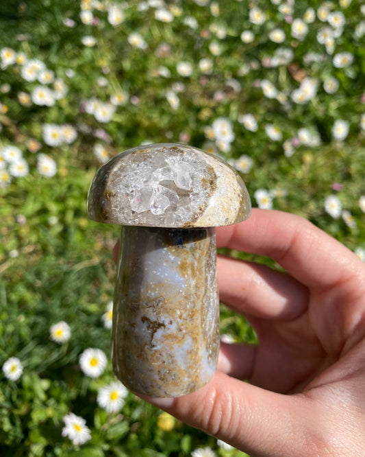 Fungo in diaspro oceano