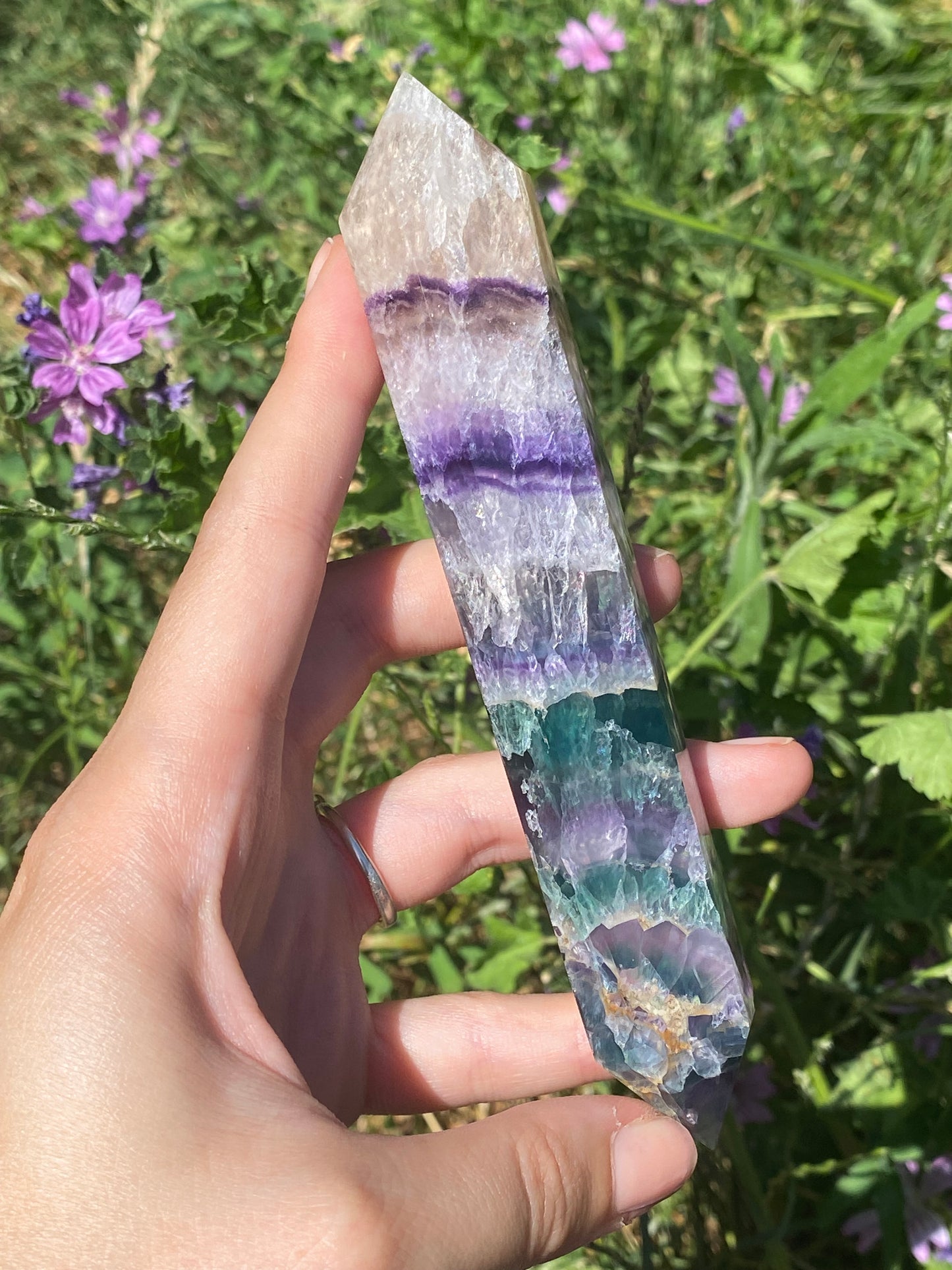 Biterminata in fluorite C