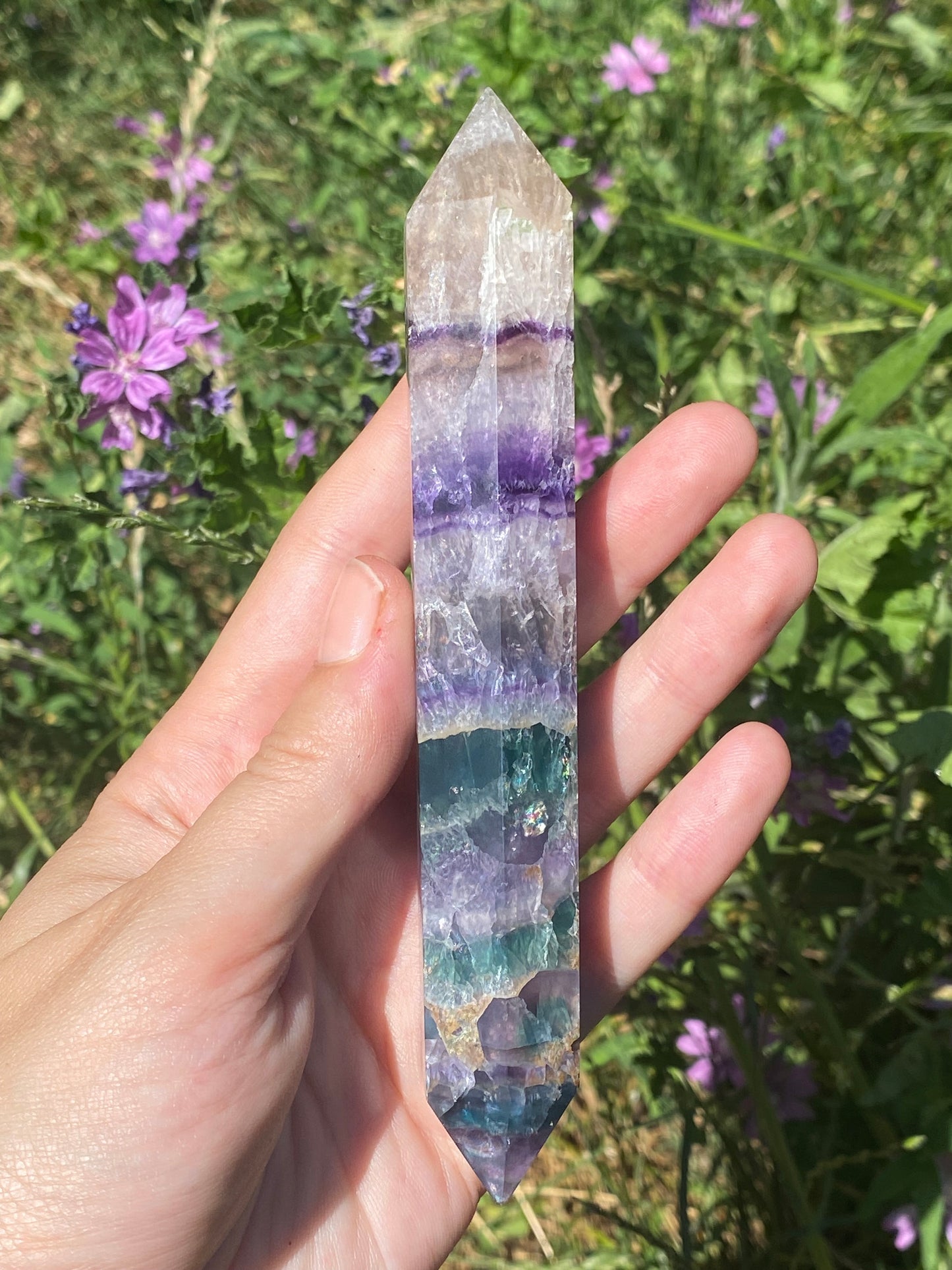 Biterminata in fluorite C