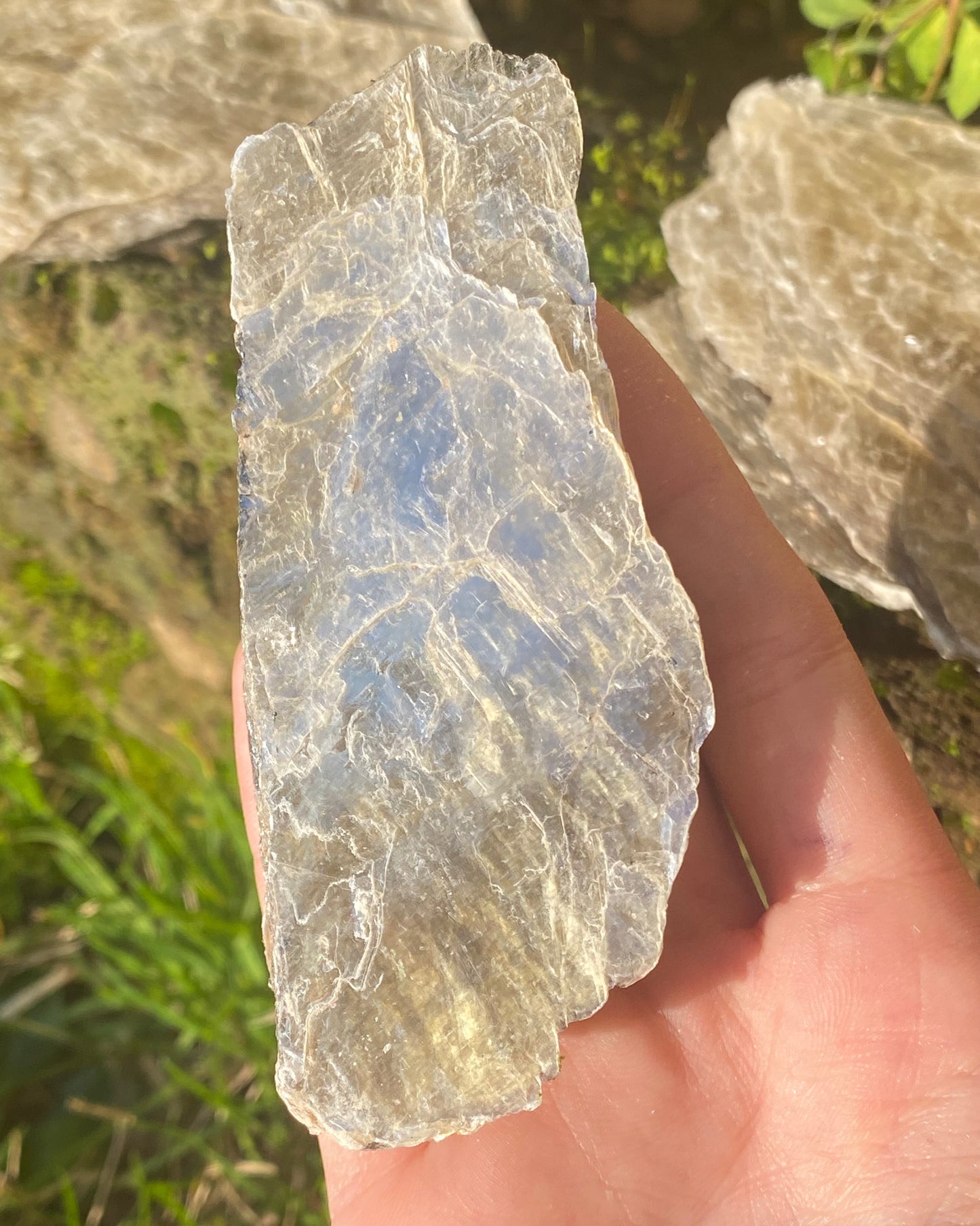 Mica dorata
