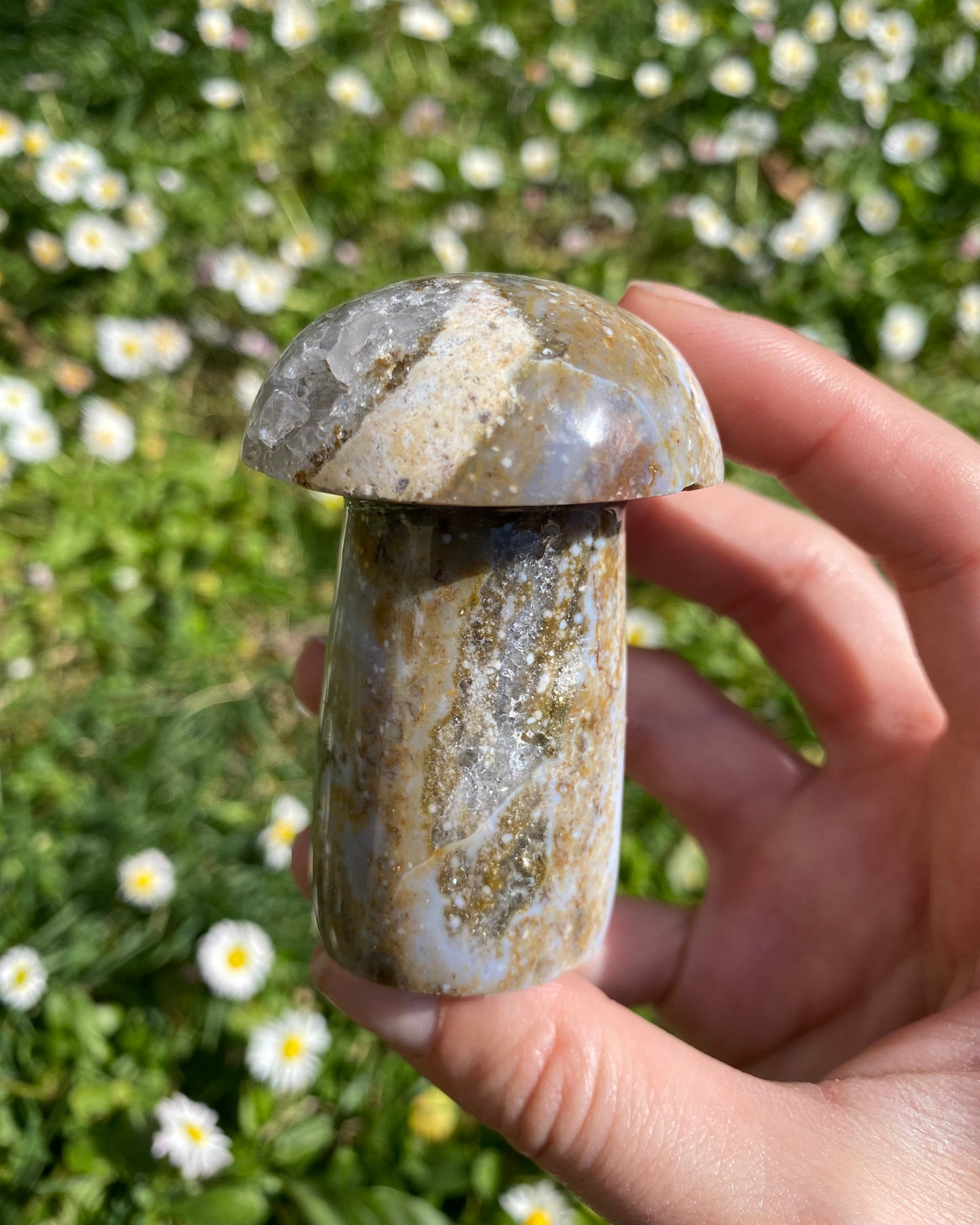Fungo in diaspro oceano