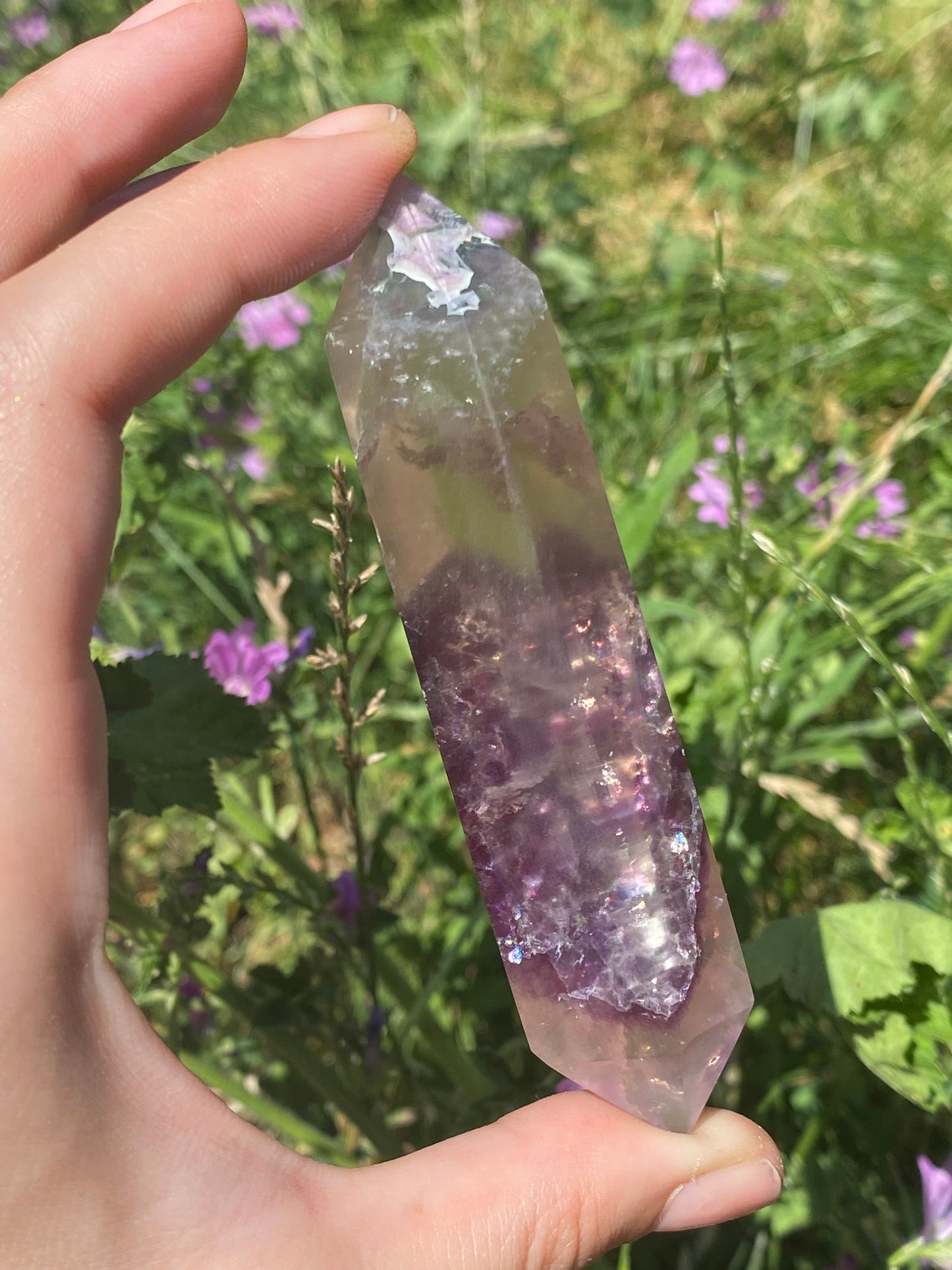 Biterminata in fluorite A