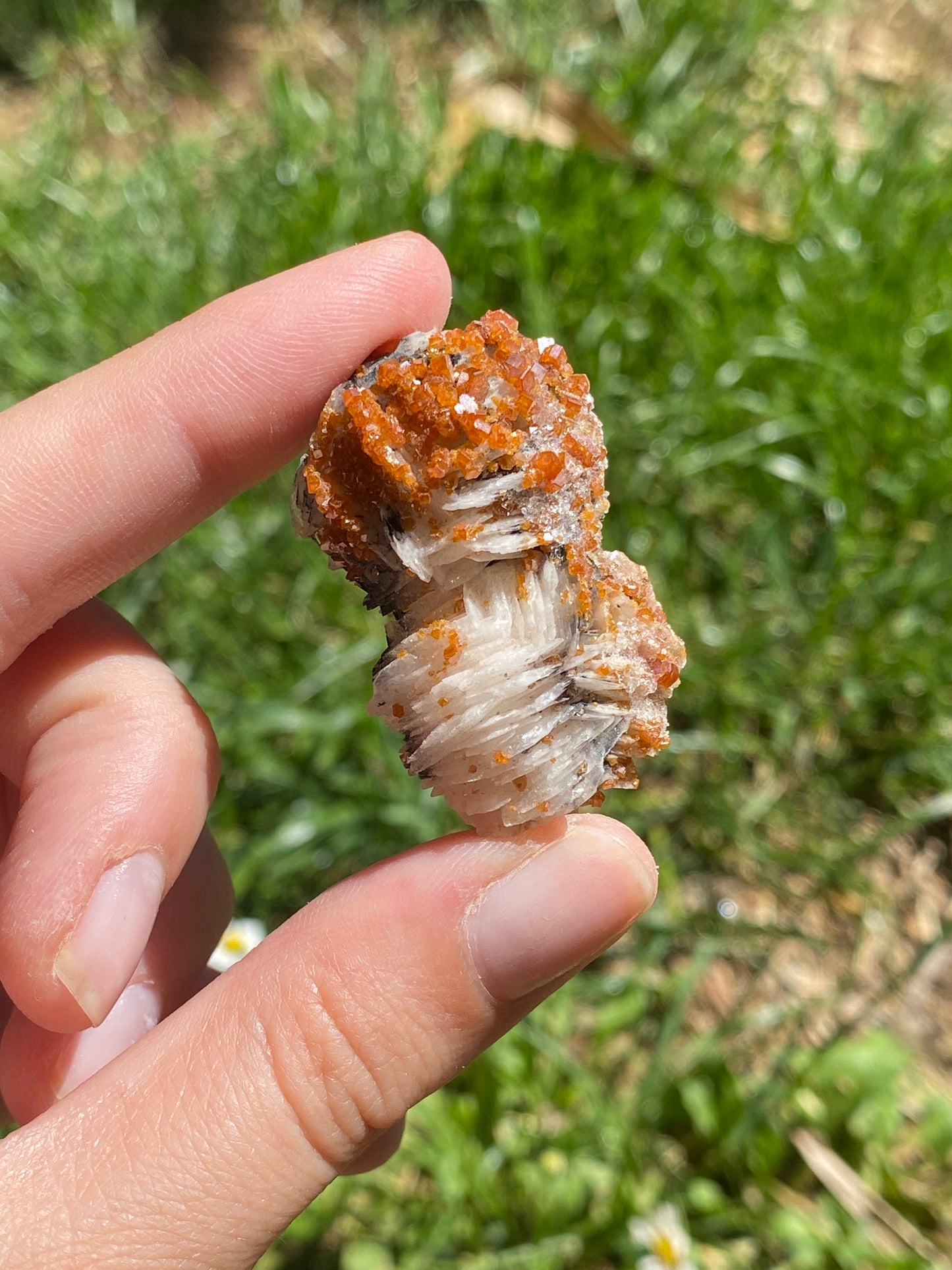 Vanadinite B