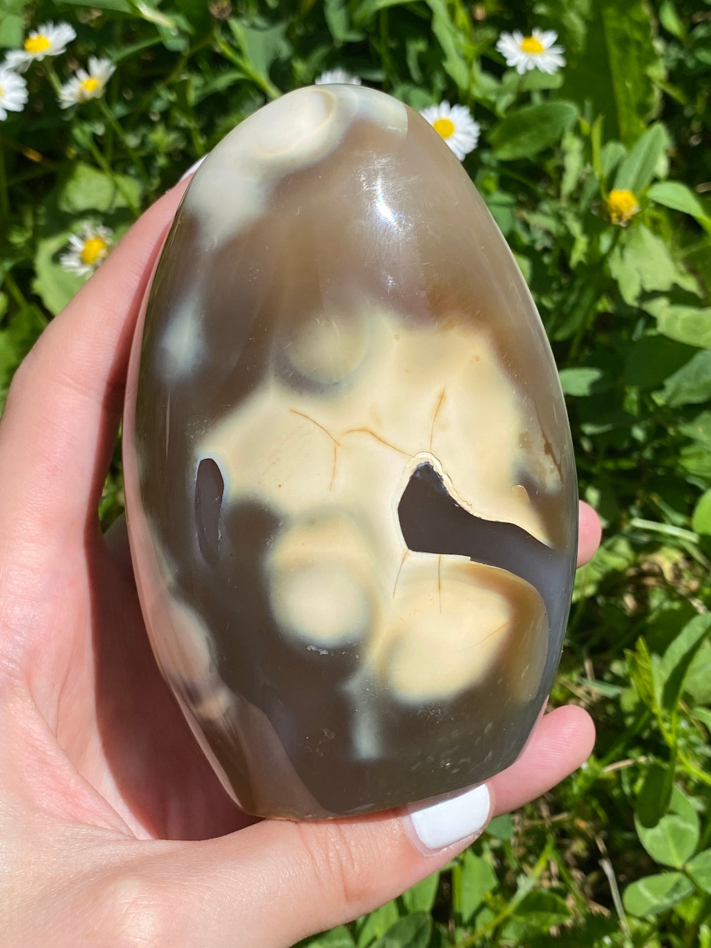 Freeform in Agata orca