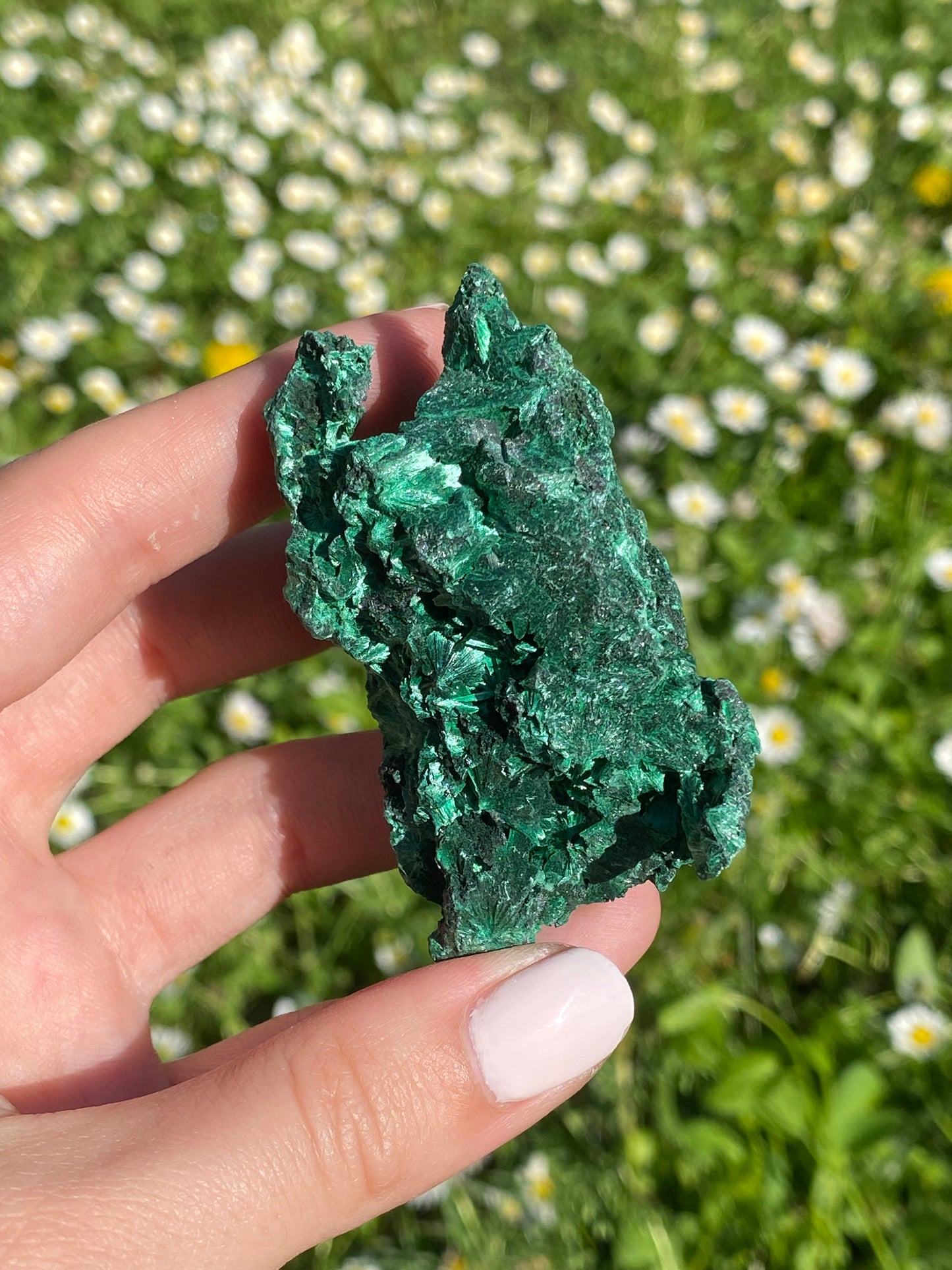 Malachite fibrosa