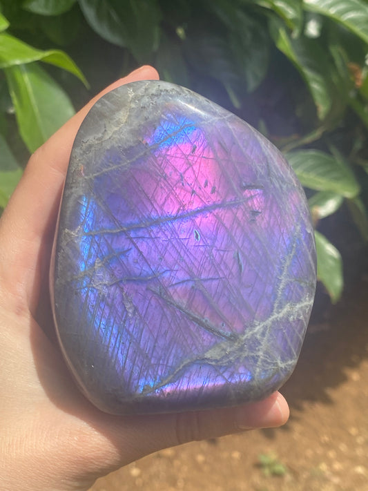 Freeform il labradorite sunset