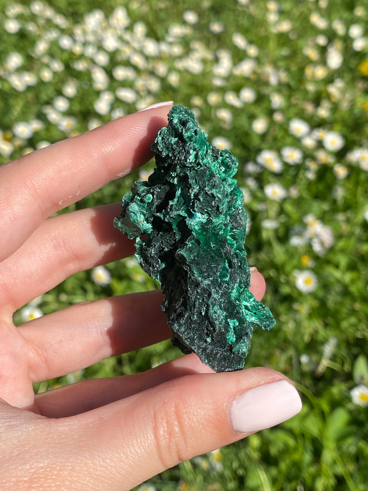 Malachite fibrosa