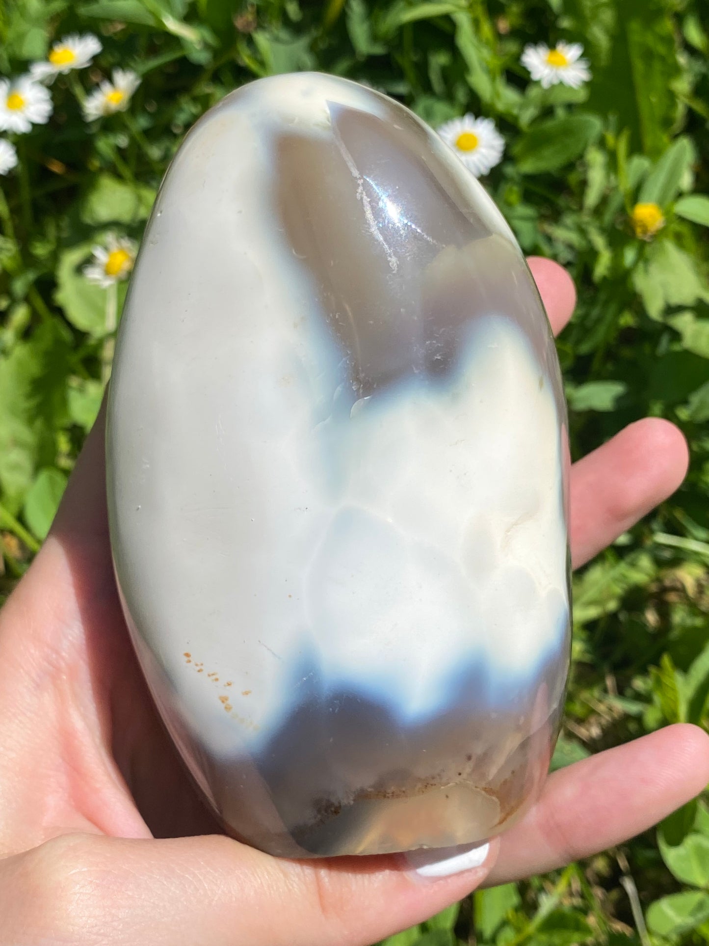 Freeform in Agata orca