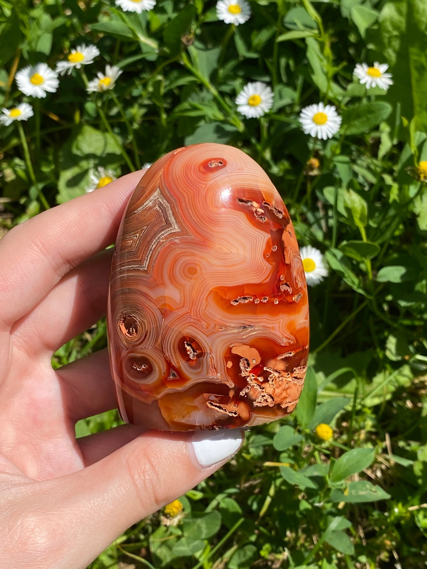 Freeform A in corniola