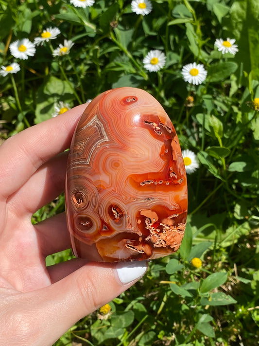 Freeform A in corniola