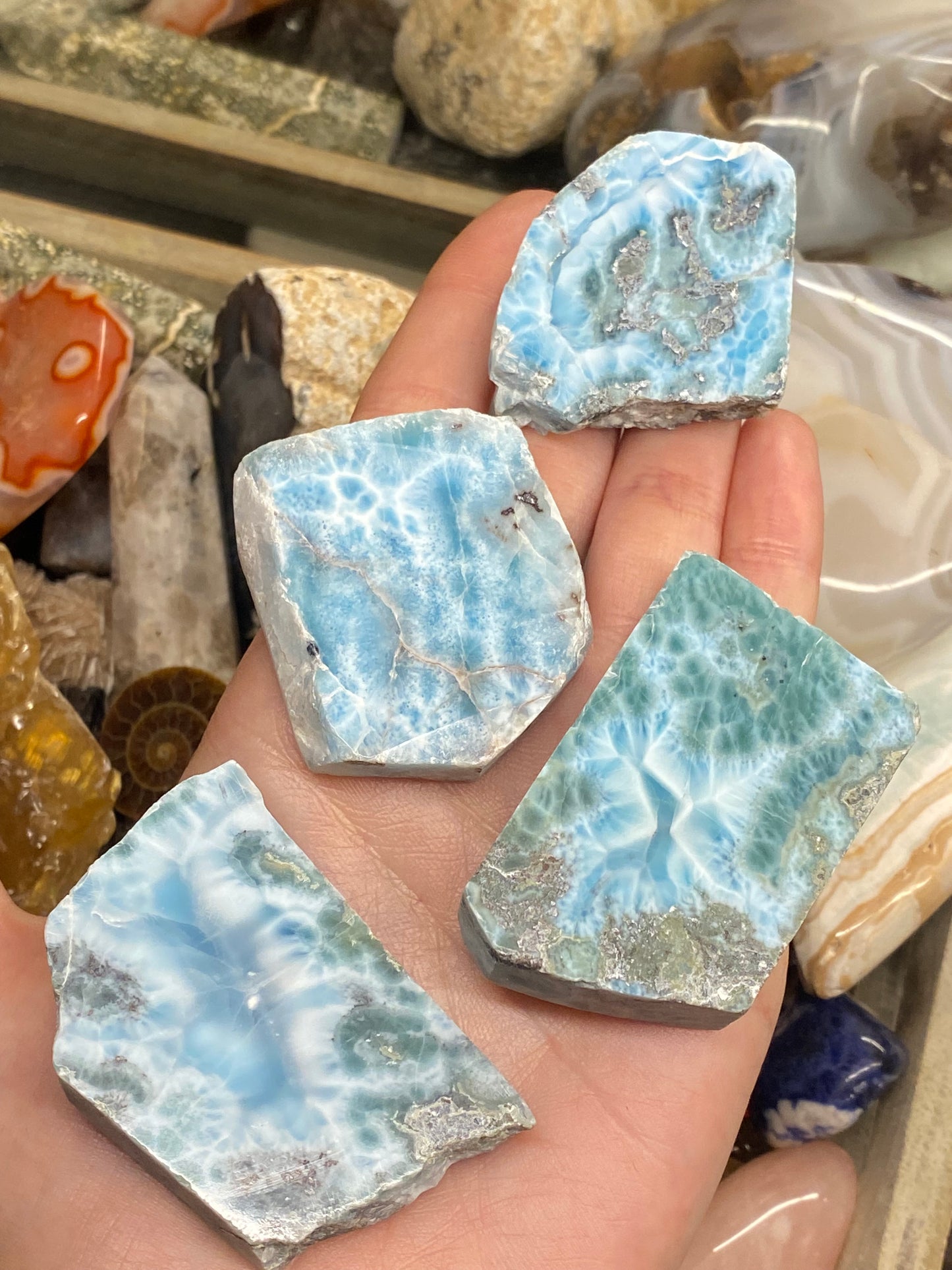 Fette di Larimar semilucidato