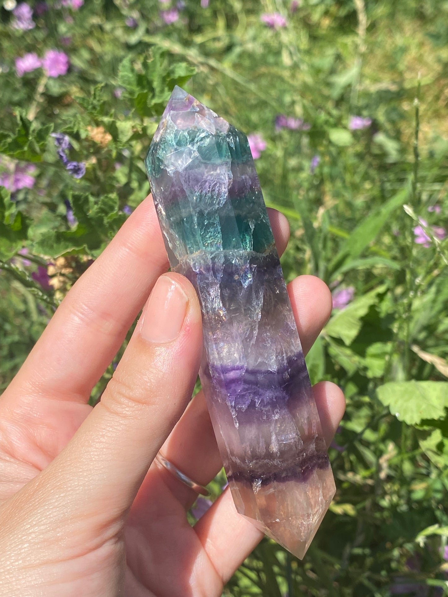 Biterminata in fluorite B