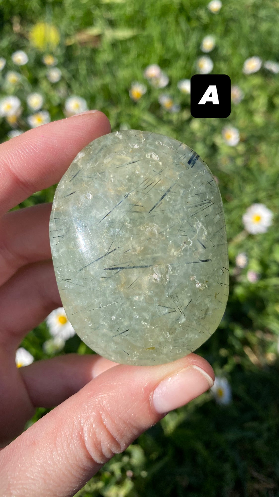 Palmstone prehnite