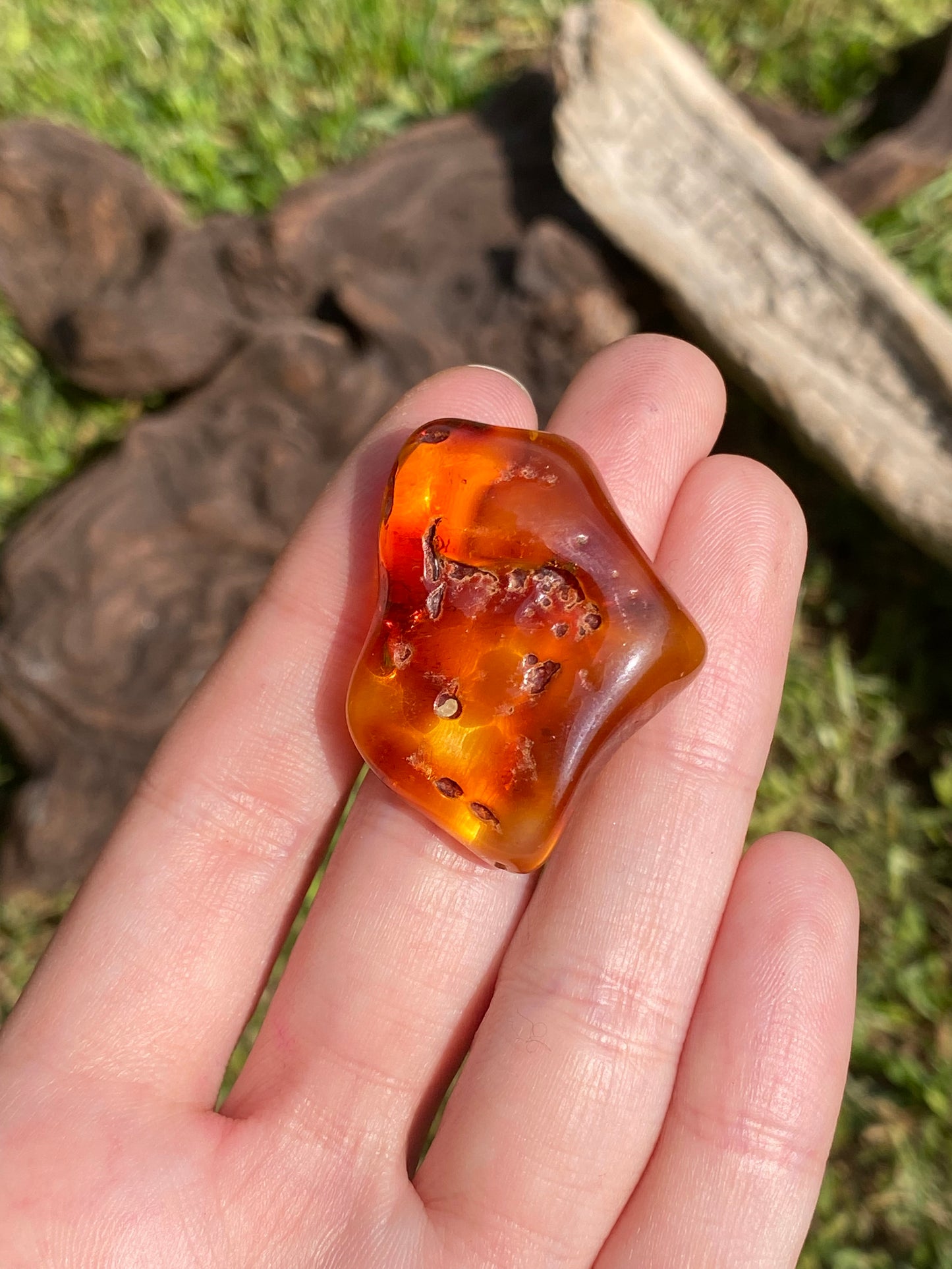 Ambra baltica 5gr