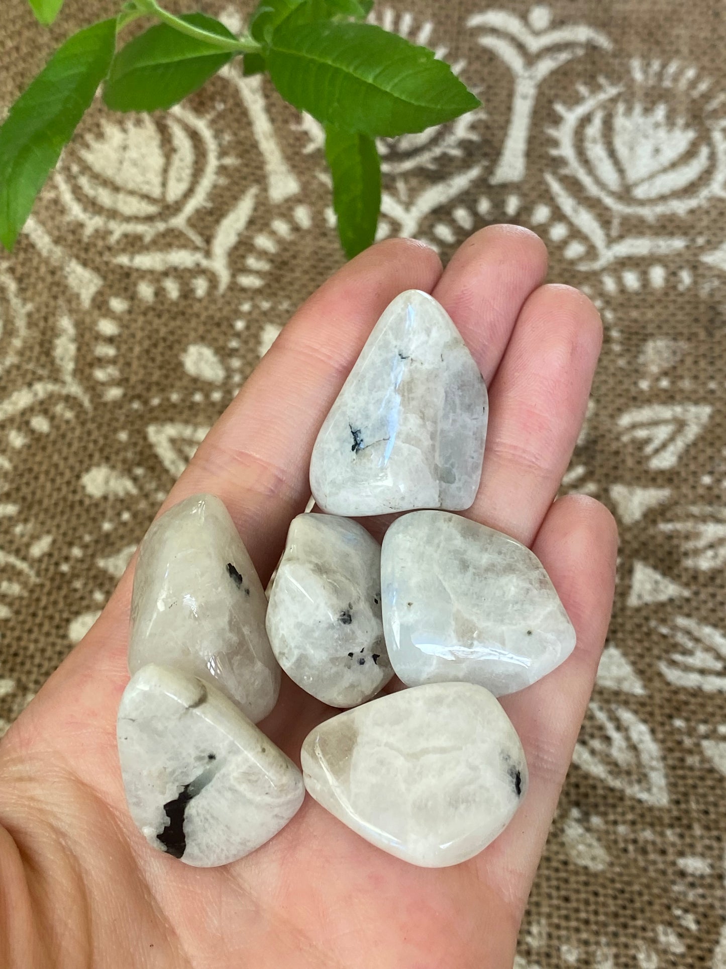 Labradorite bianca burattata