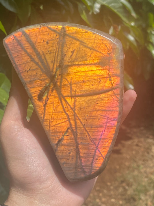 Freeform in labradorite sunset