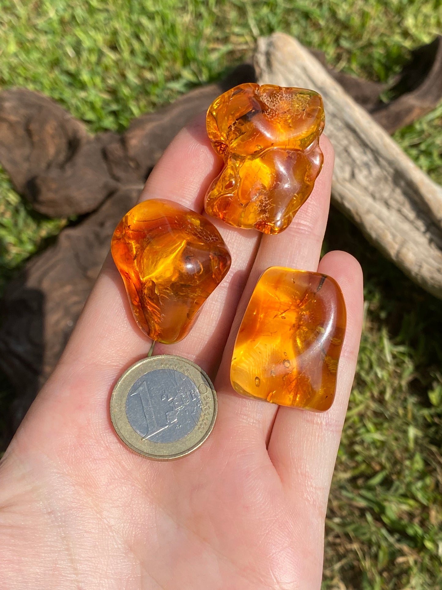 Ambra baltica 6gr