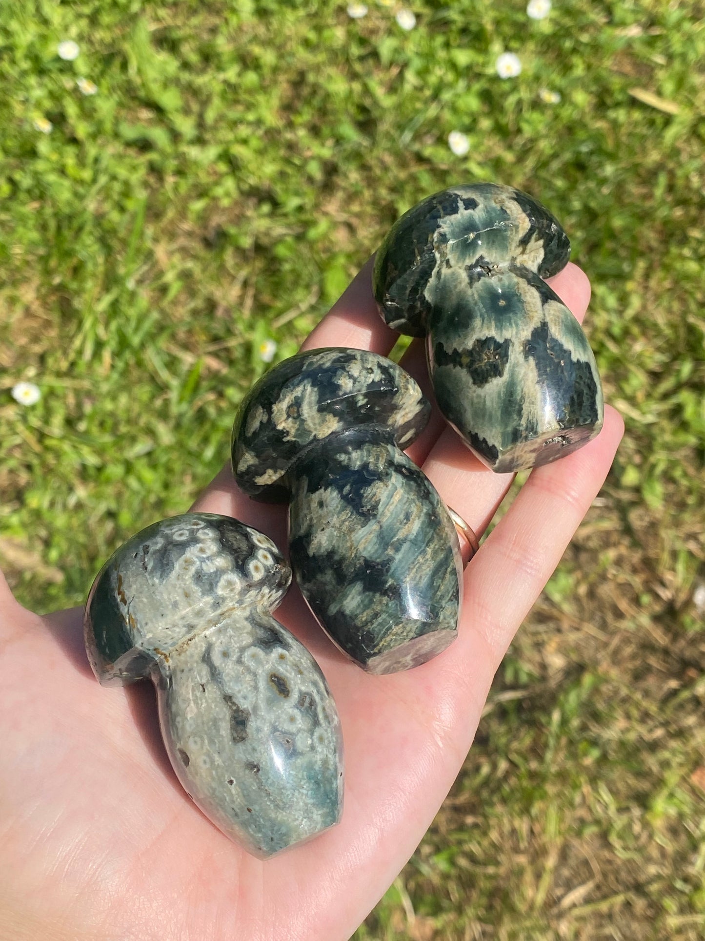 Funghetto diaspro oceano