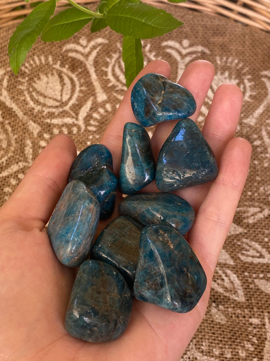 Apatite burattata