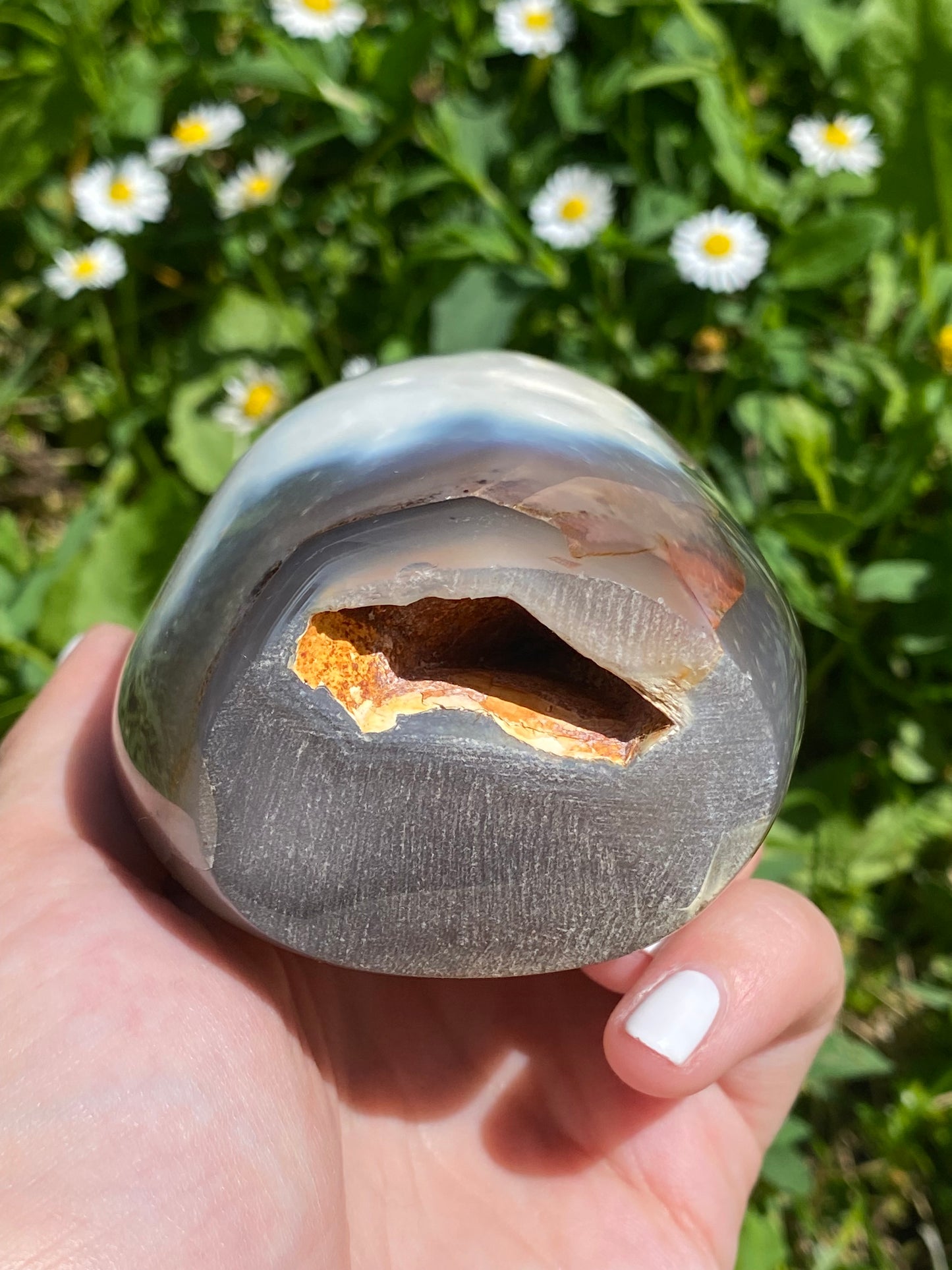 Freeform in Agata orca