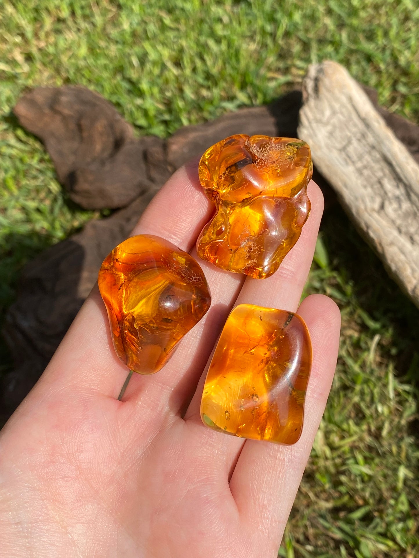 Ambra baltica 6gr