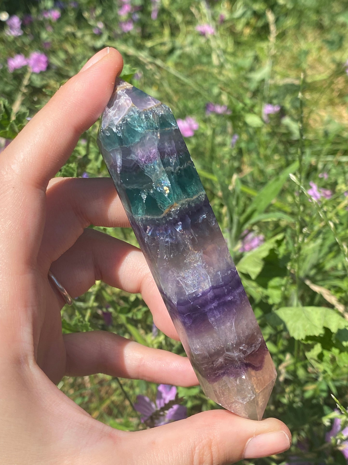 Biterminata in fluorite B