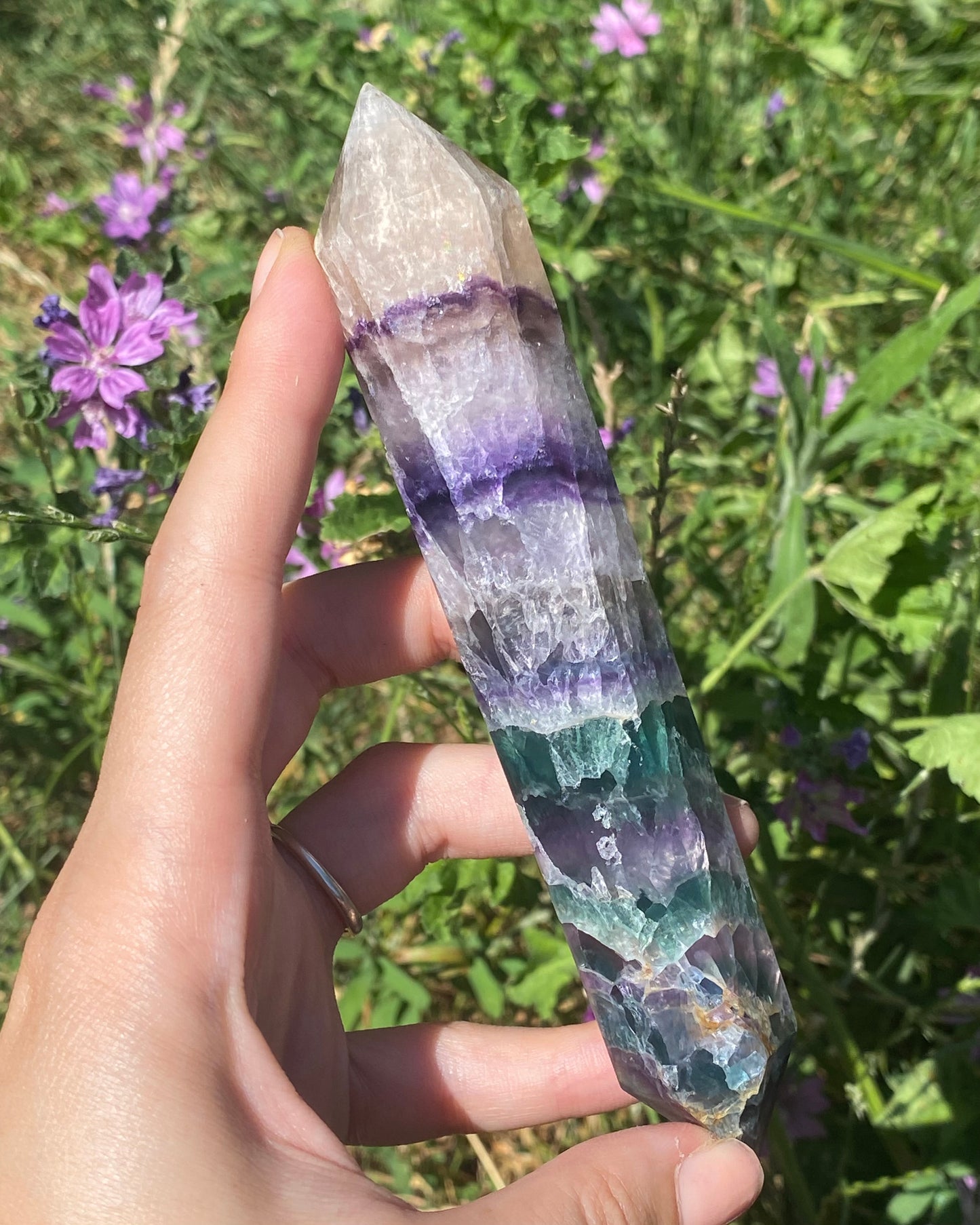Biterminata in fluorite C
