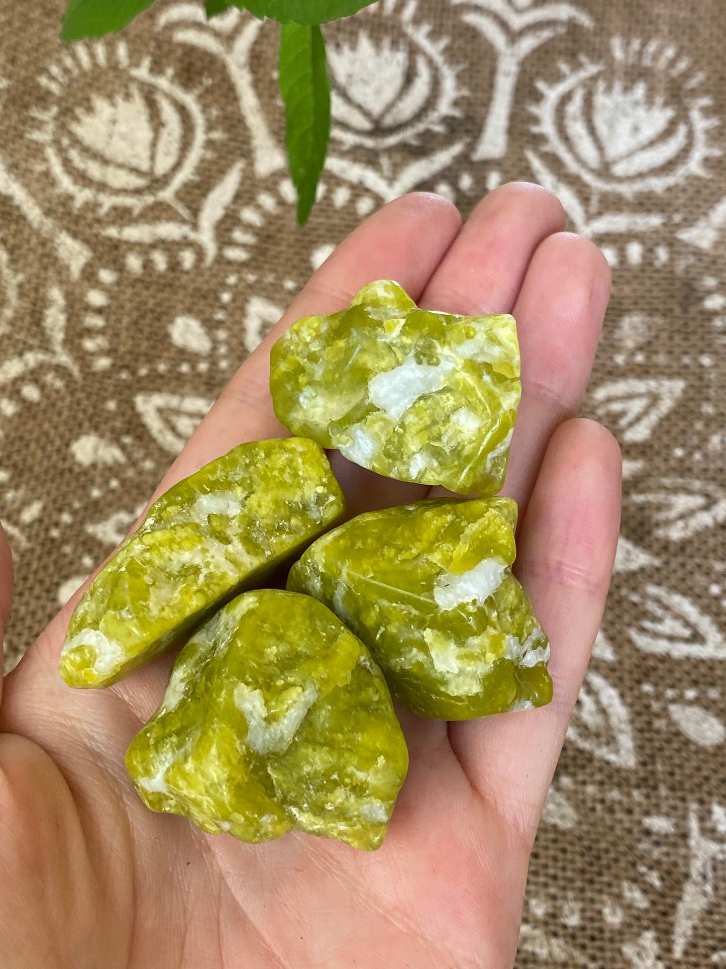 Lizardite