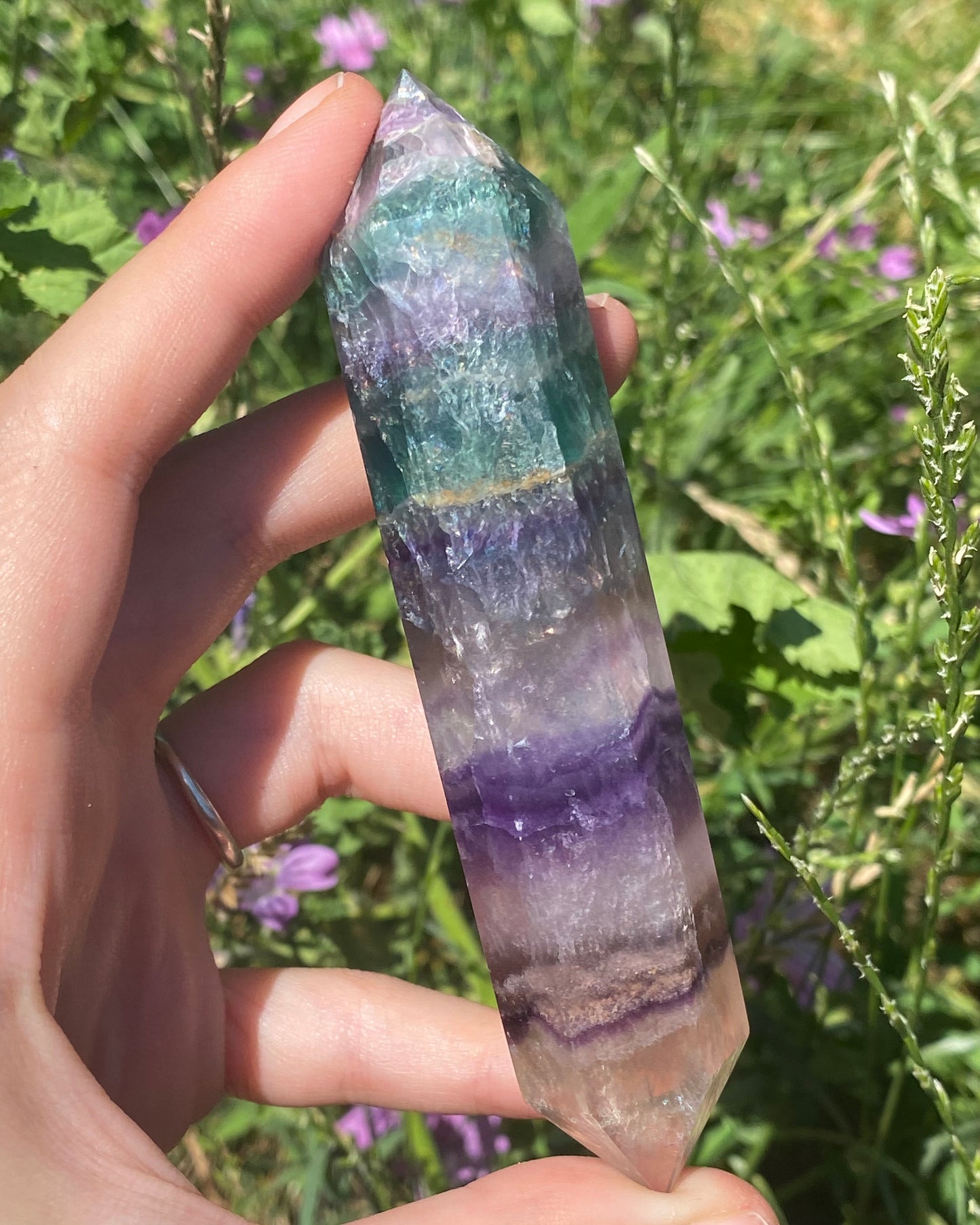 Biterminata in fluorite B