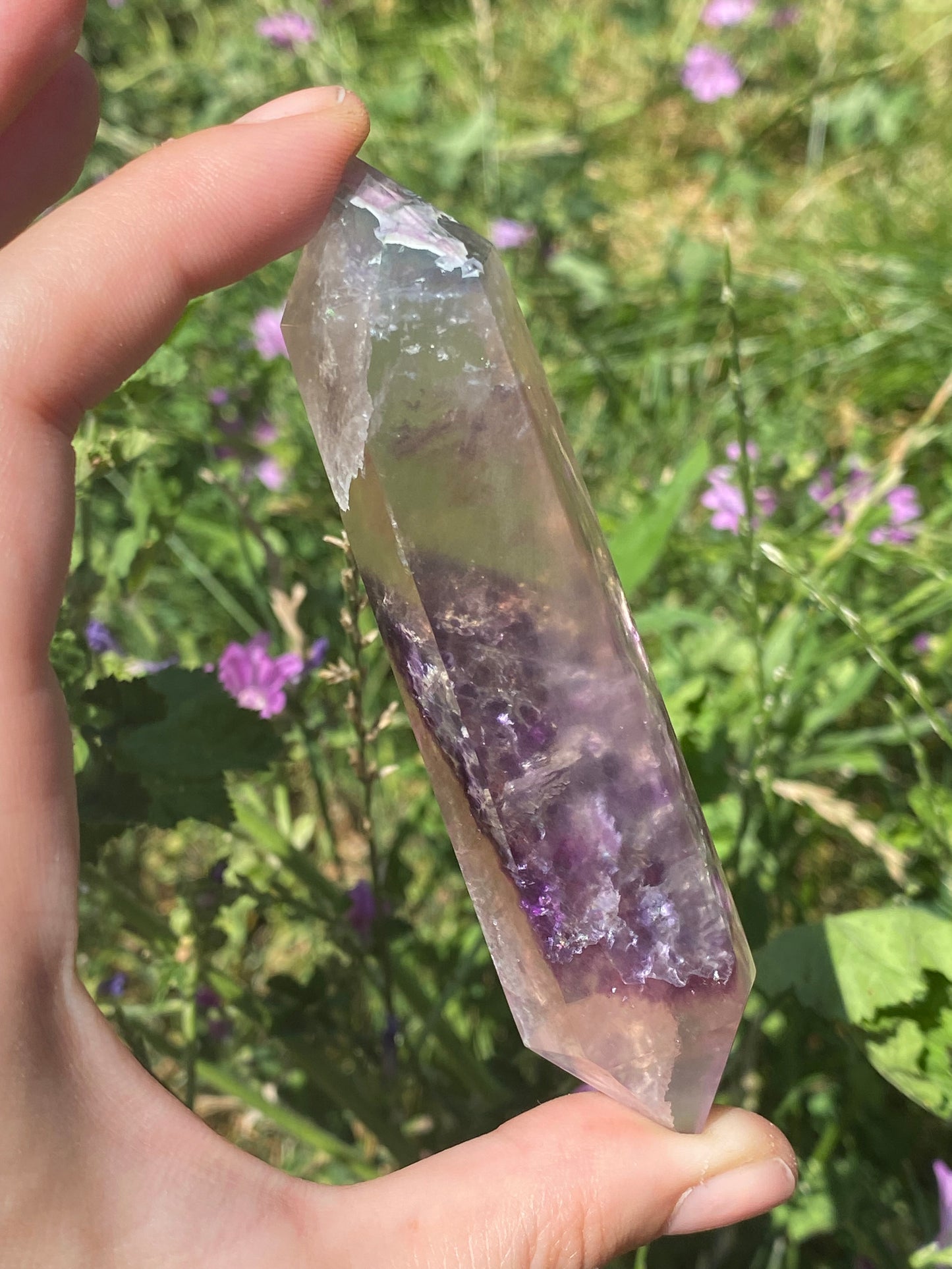 Biterminata in fluorite A
