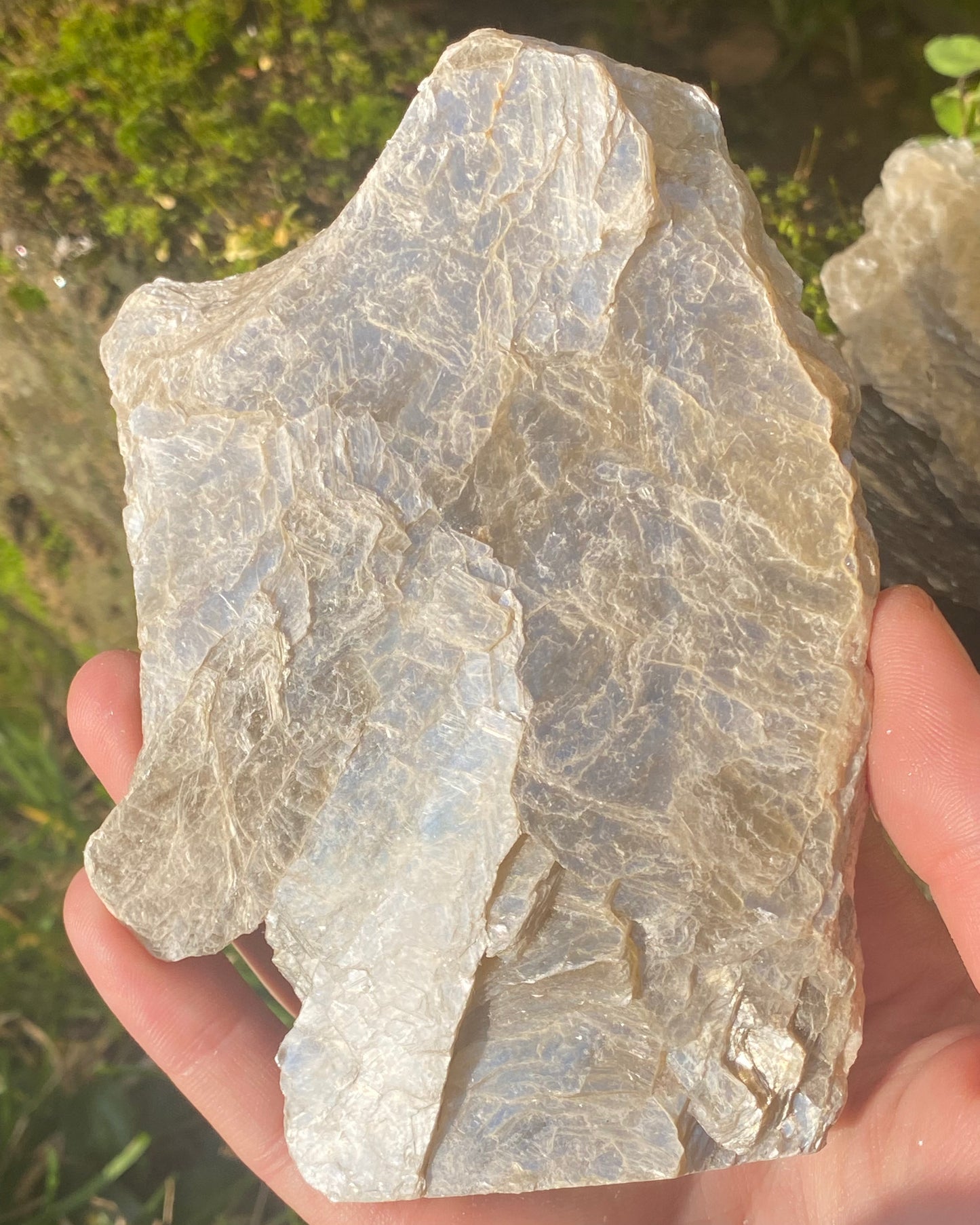 Mica dorata
