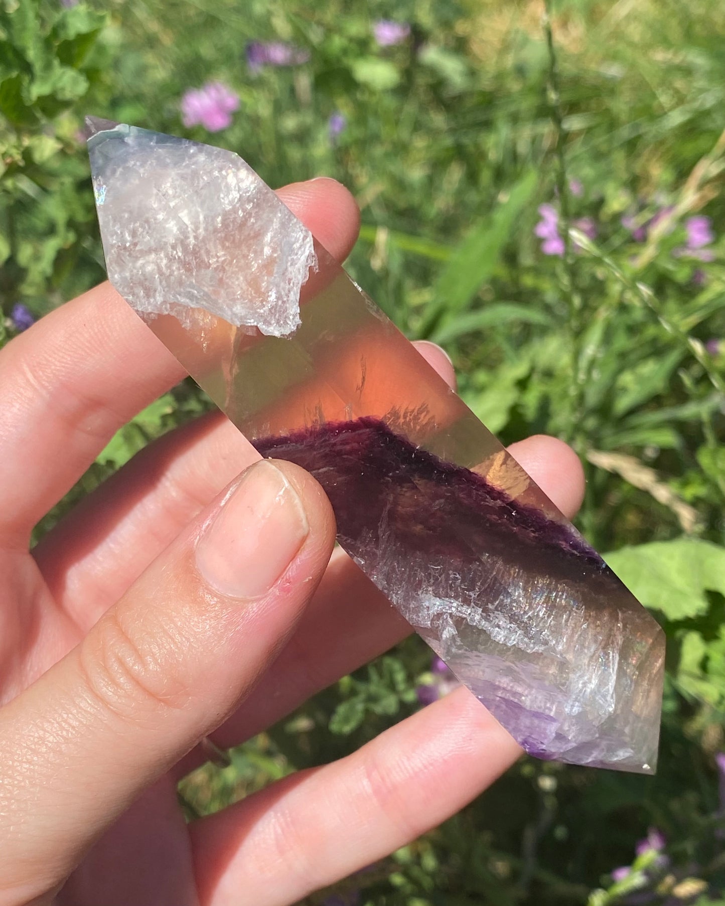 Biterminata in fluorite A