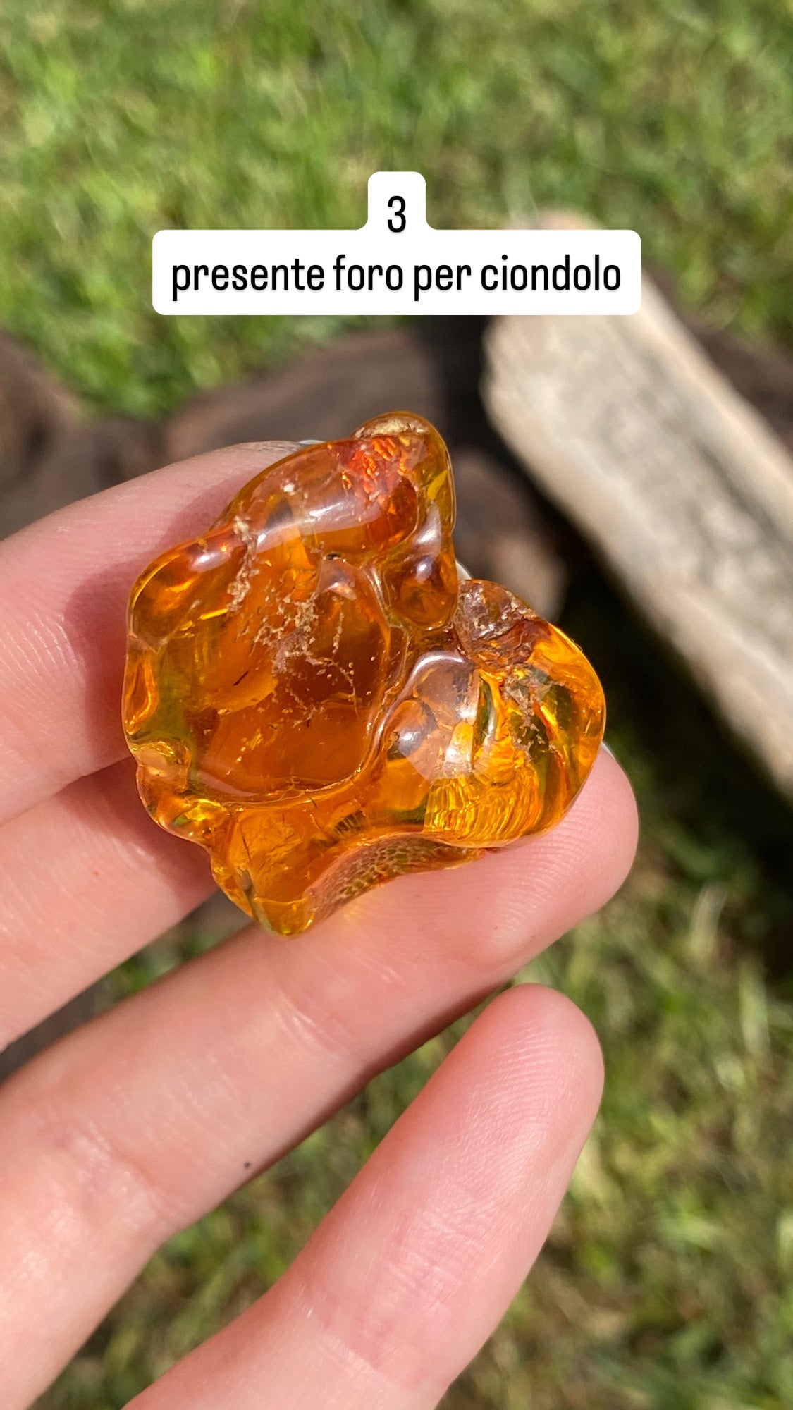 Ambra baltica 6gr