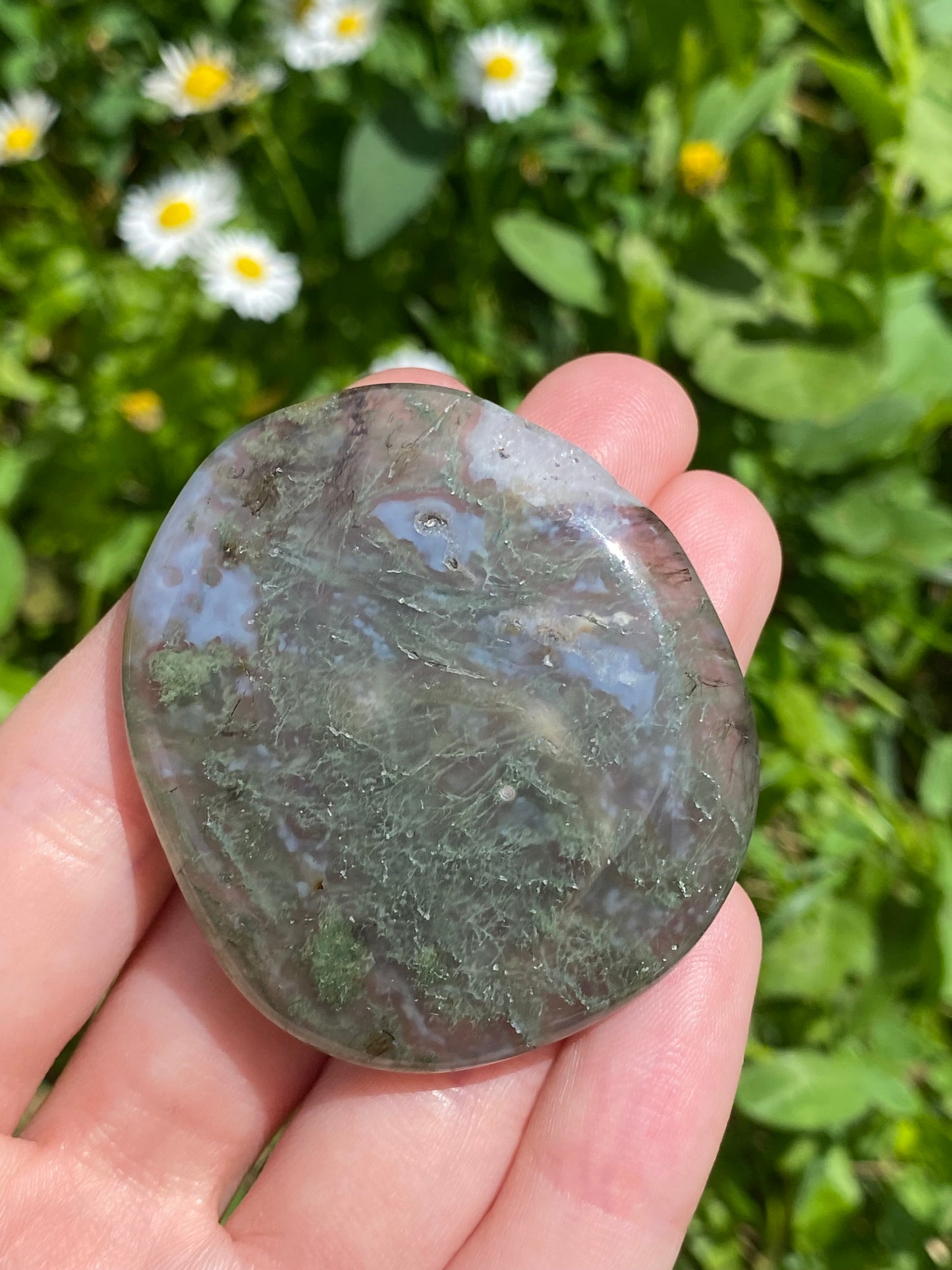 Flat stone in Agata muschiata